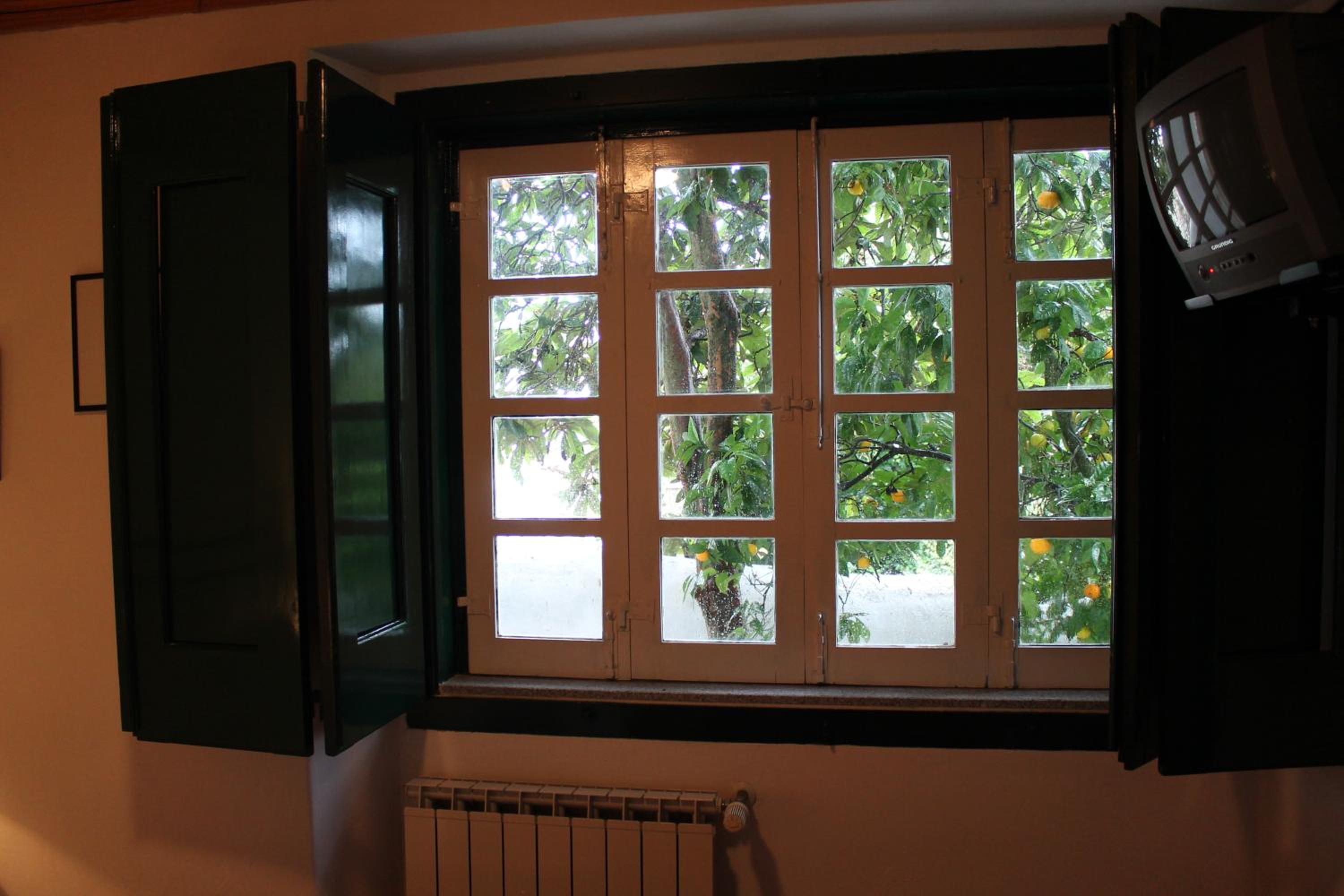 Casa de Viana do Alentejo view 5