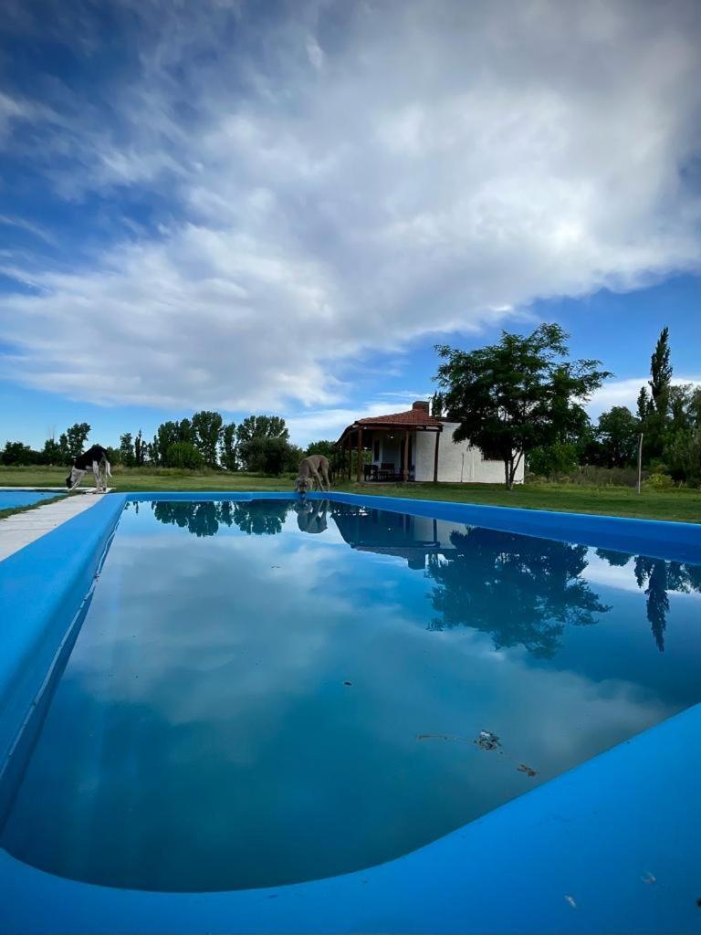 CABAÑAS LA PILARICA