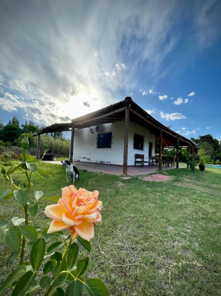 CABAÑAS LA PILARICA