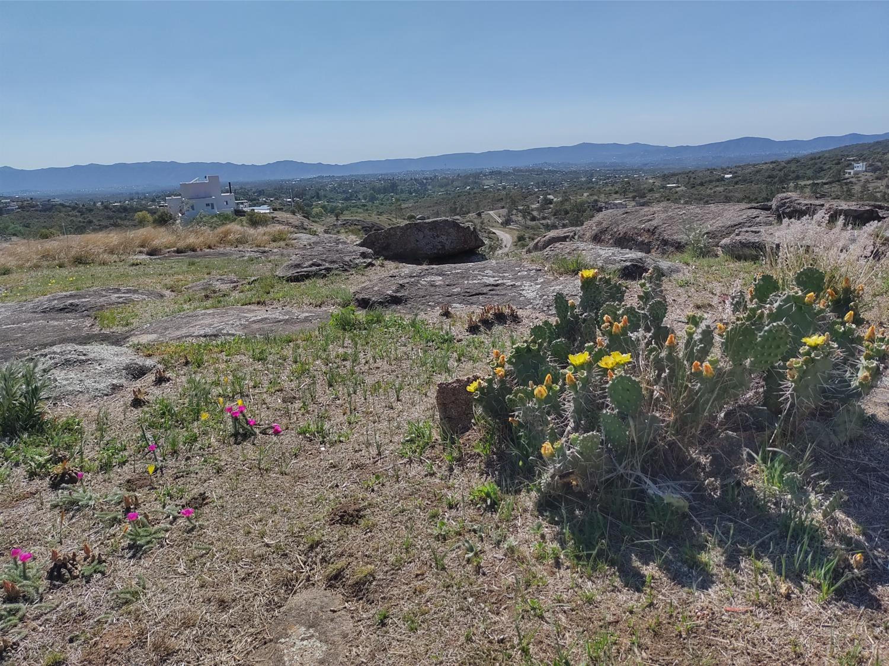 CABAÑAS PIRCAS DE CAMPO