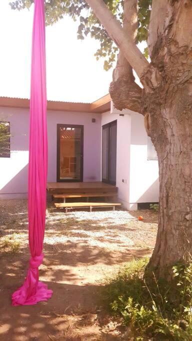 La casa del Álamo