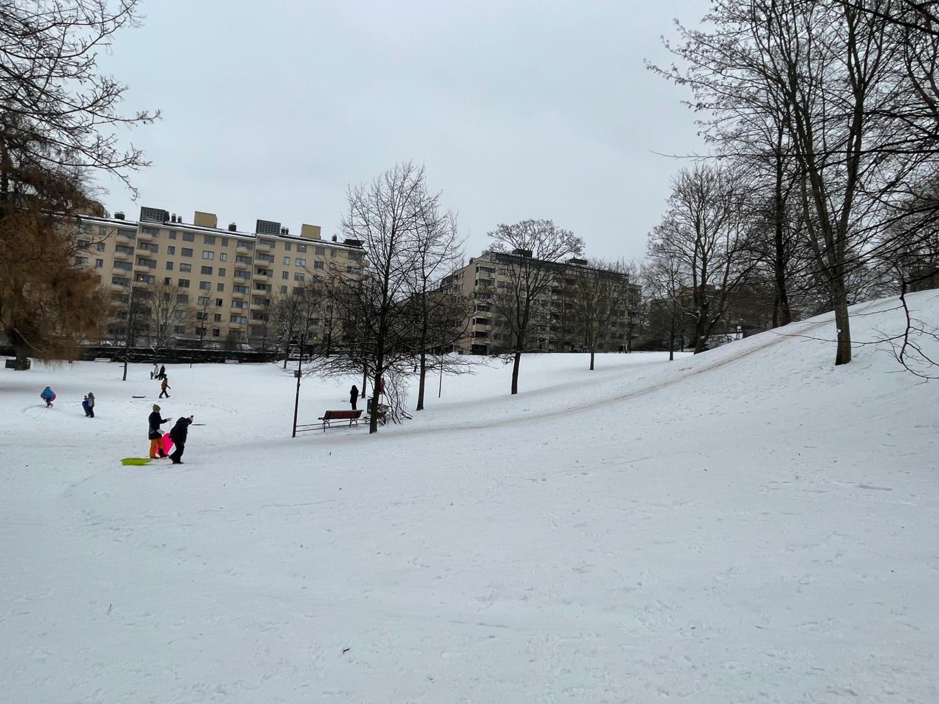 Photo 6