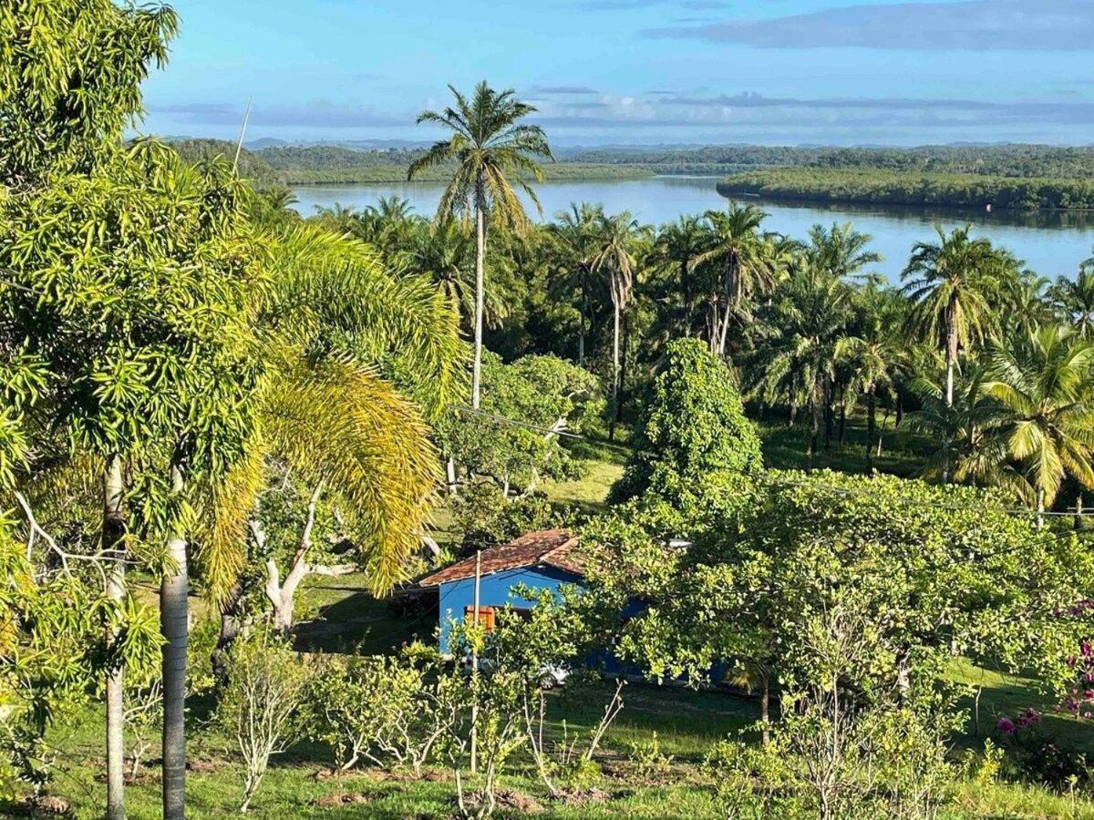 Casa do Mangue-Paraíso na beira do rio Wi-Fi 500M