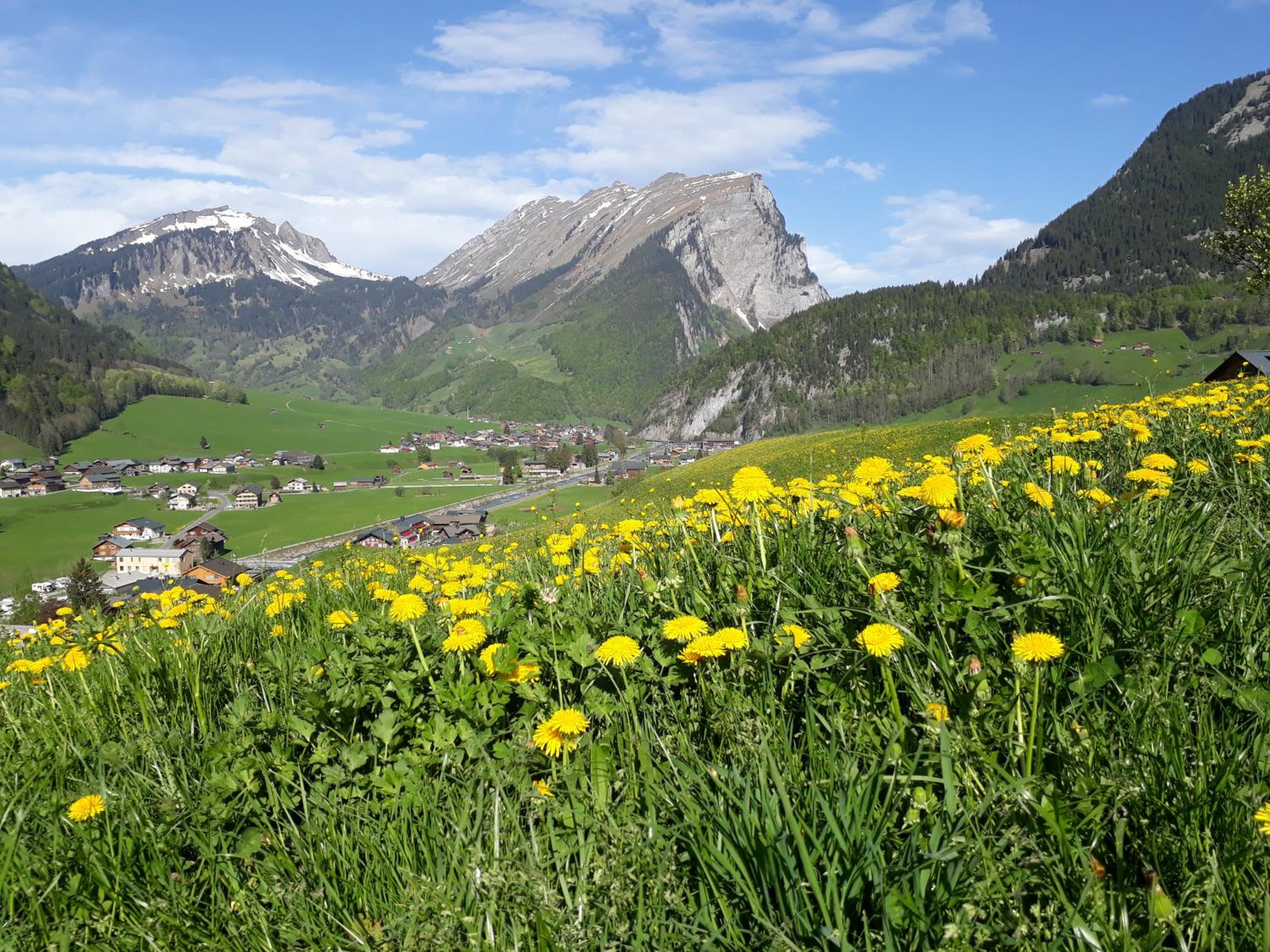 Fernblick Frühstückspension