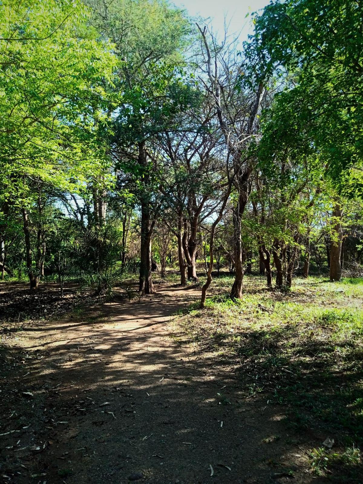 Munga Eco-Lodge