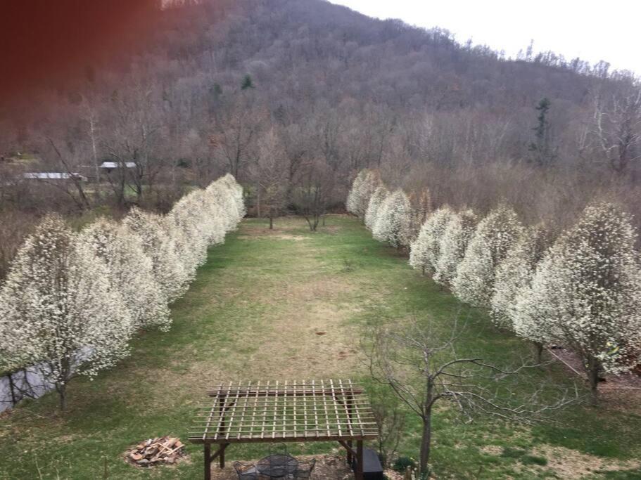 Serenity Views Retreat - Close to City and Parkway!