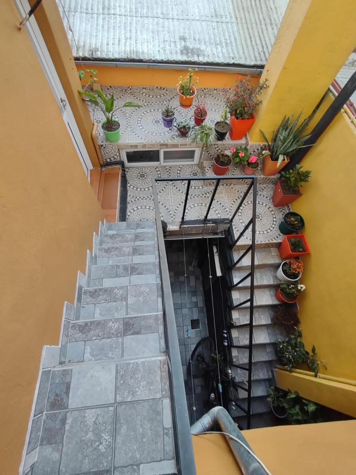 La Galleguita