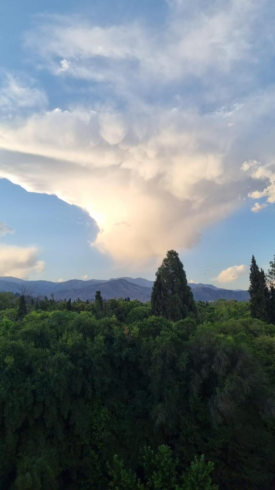 RECUERDAME