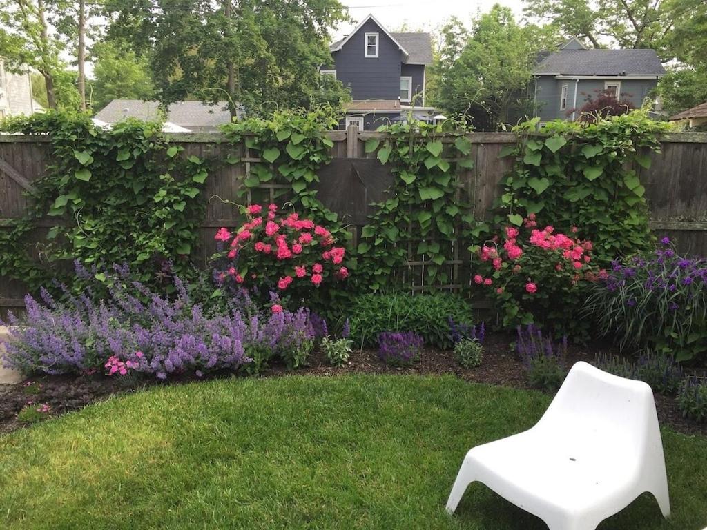 Photo 44