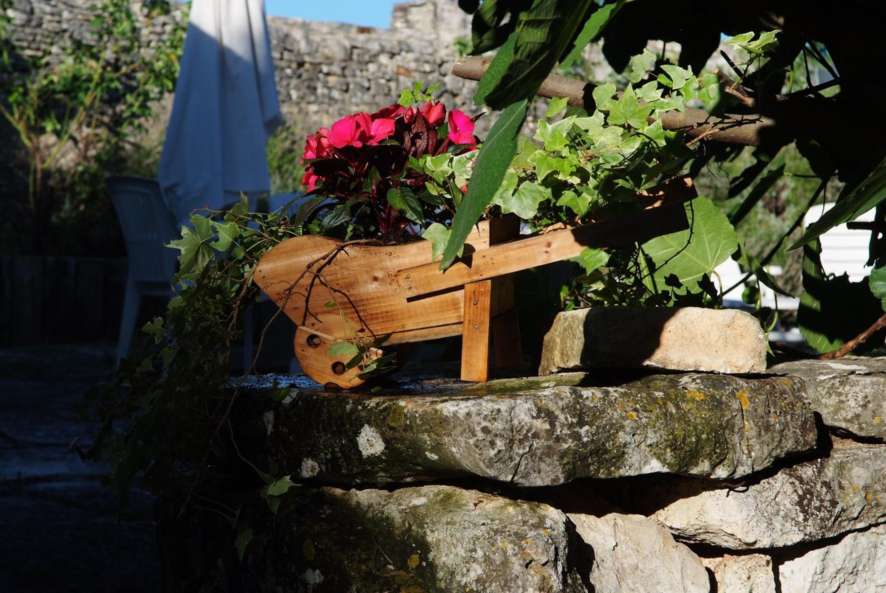 Photo 23