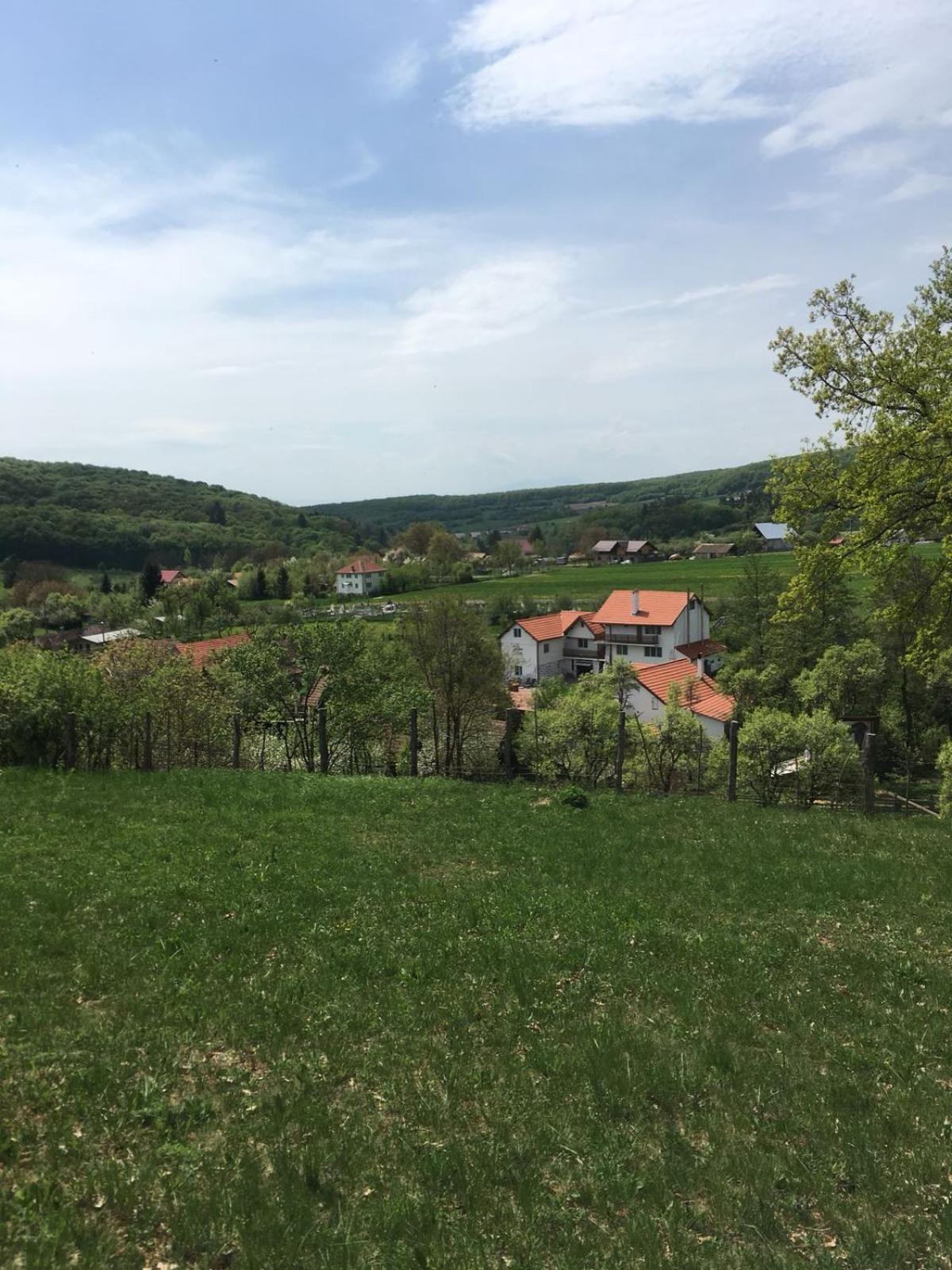 Photo 26