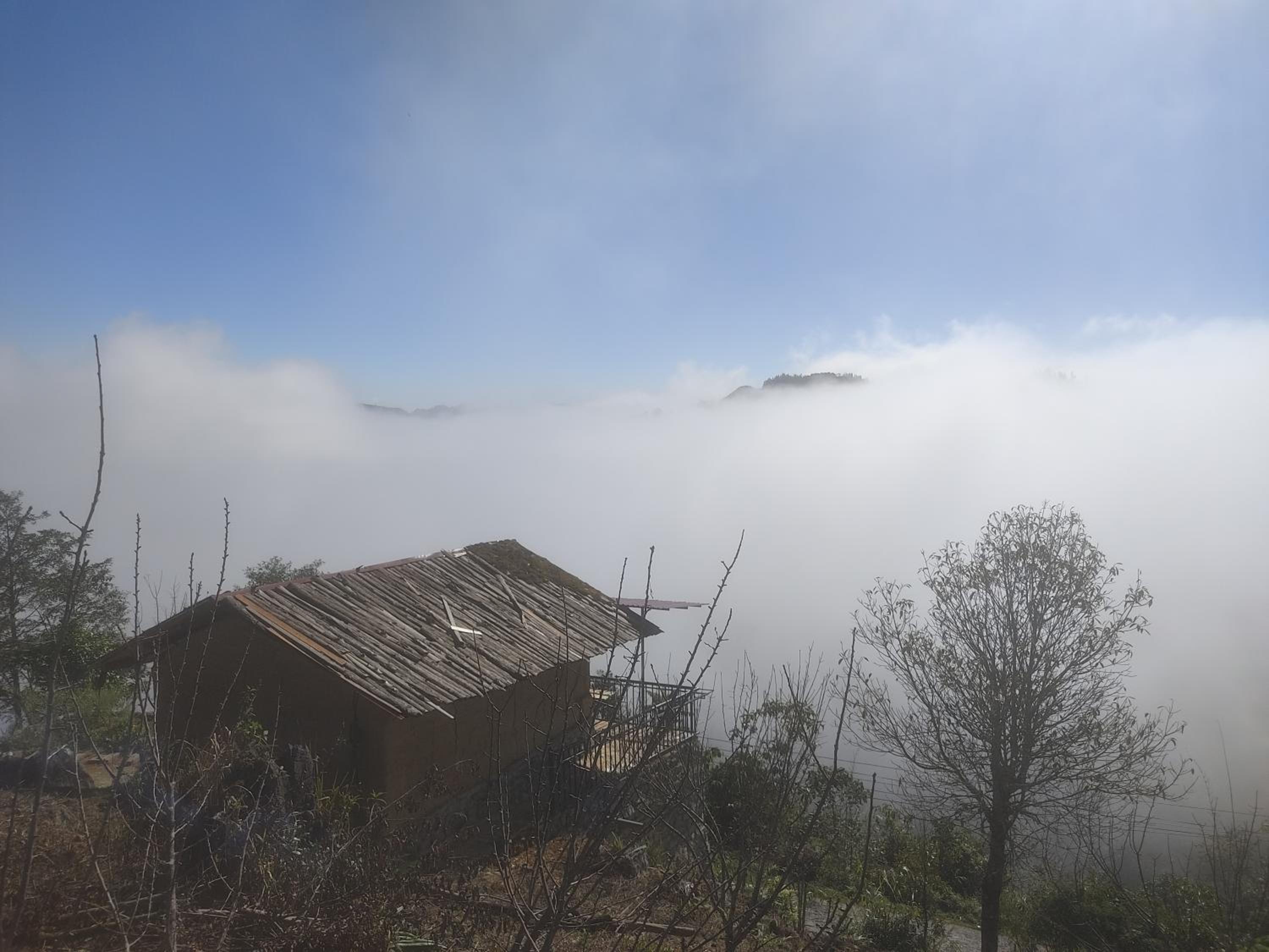 Tả Van Chư homestay