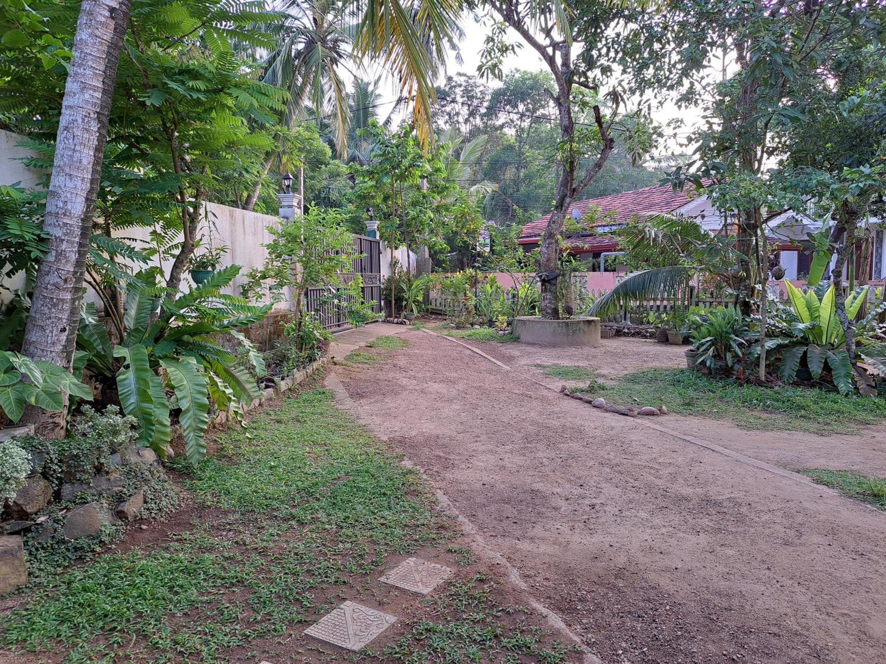 Photo 6