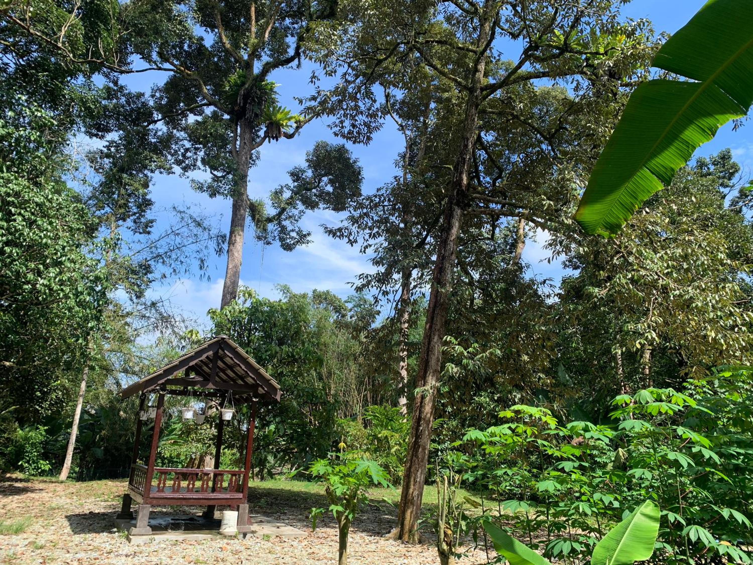 Damai Homestay