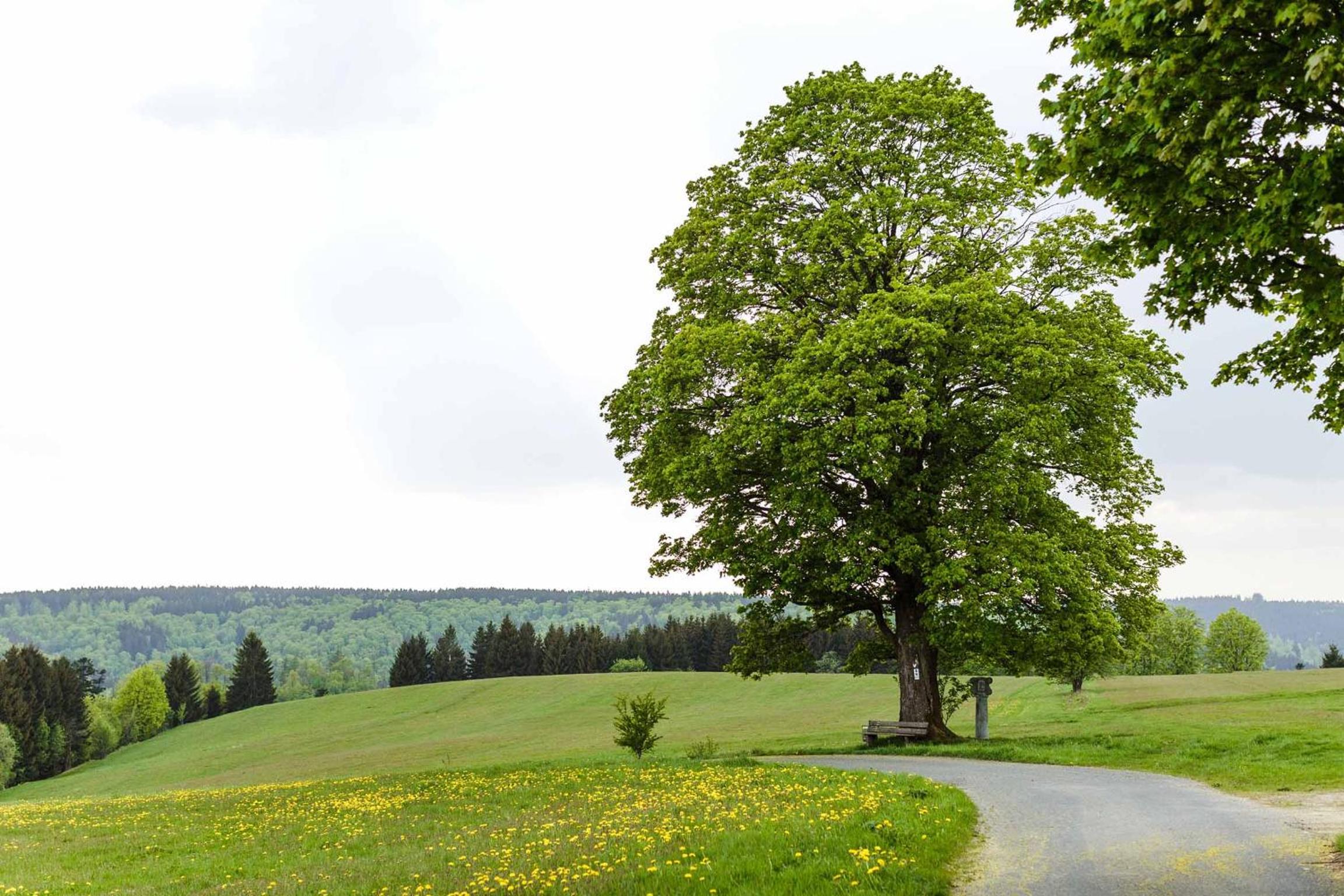 Ferienwohnung Ebert