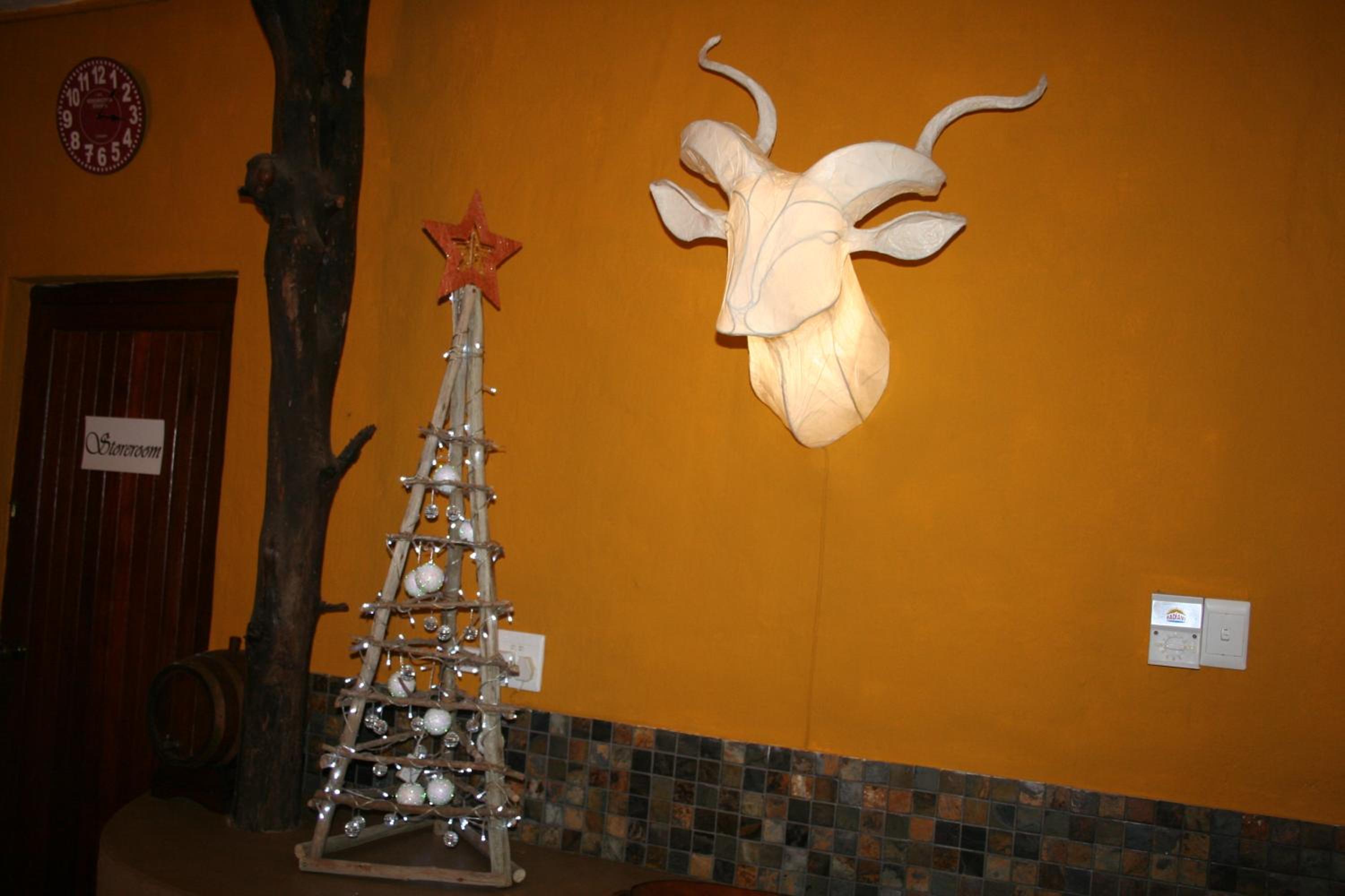 Photo 50