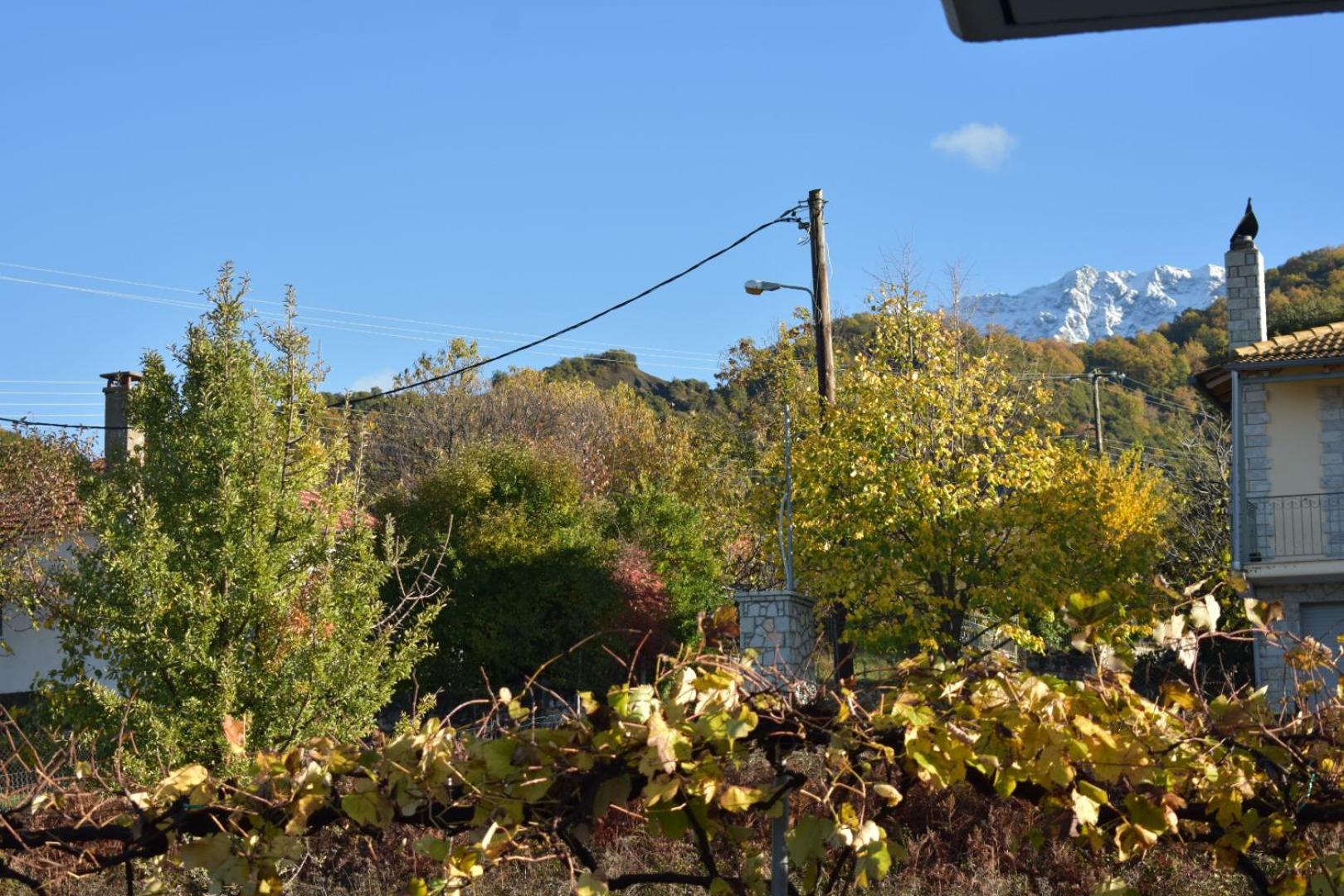 Photo 28