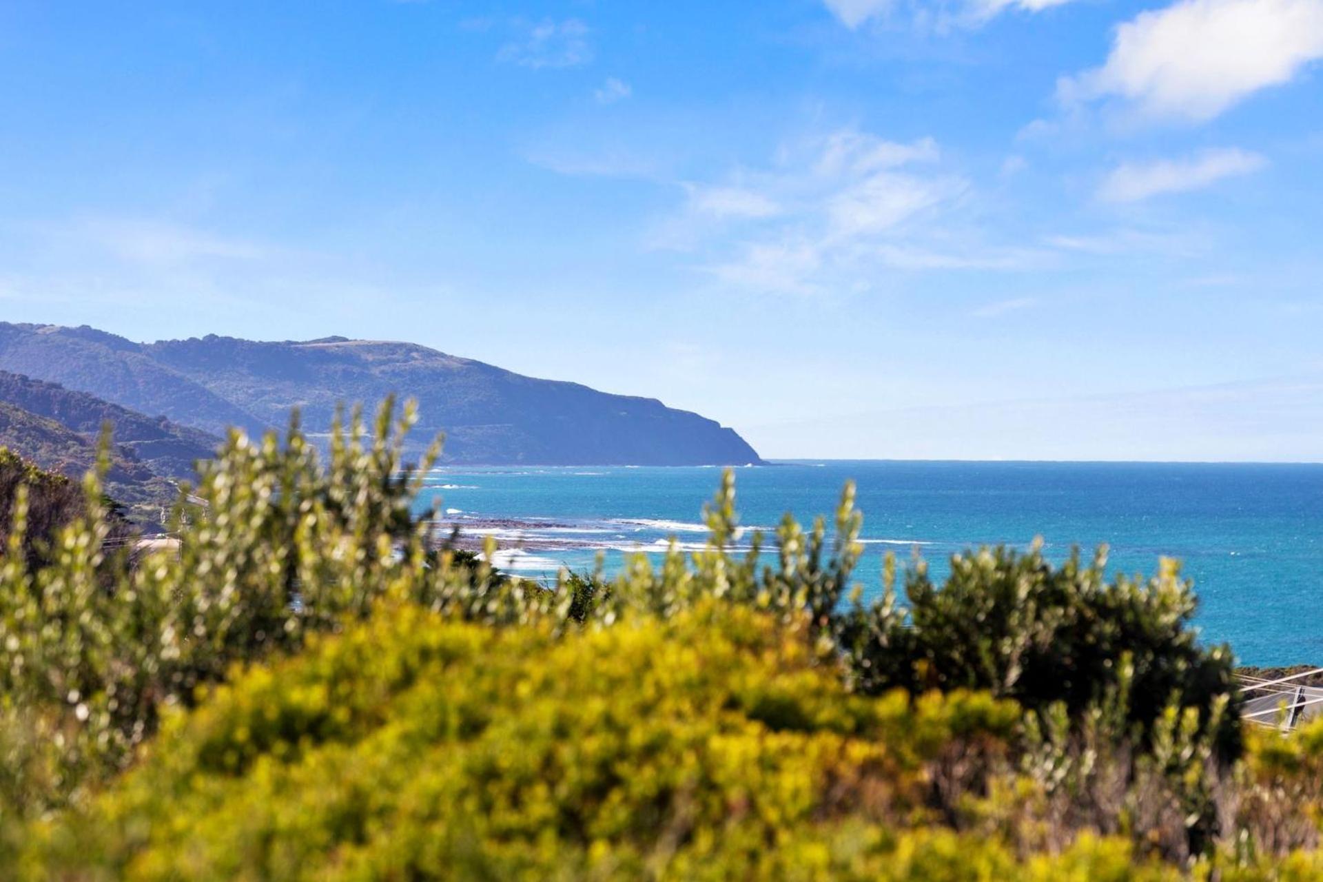 Otway Views