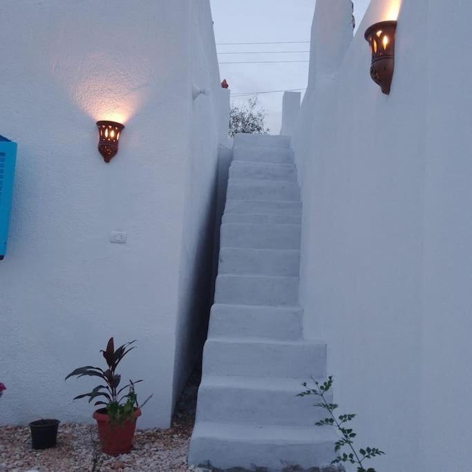 desert pearl beautiful cosy new home