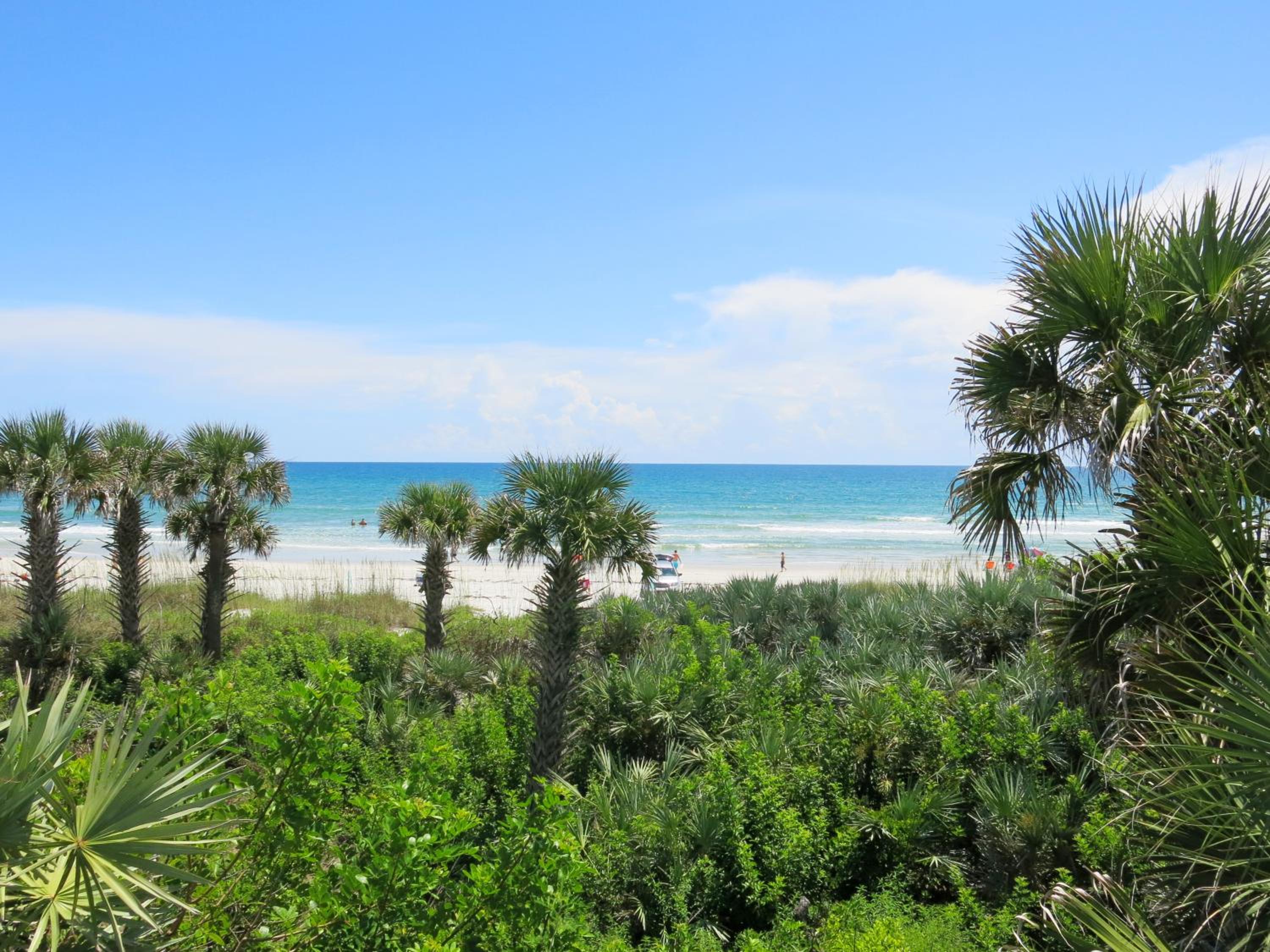 New Smyrna Waves MOD Collection by Sonesta, photo 30