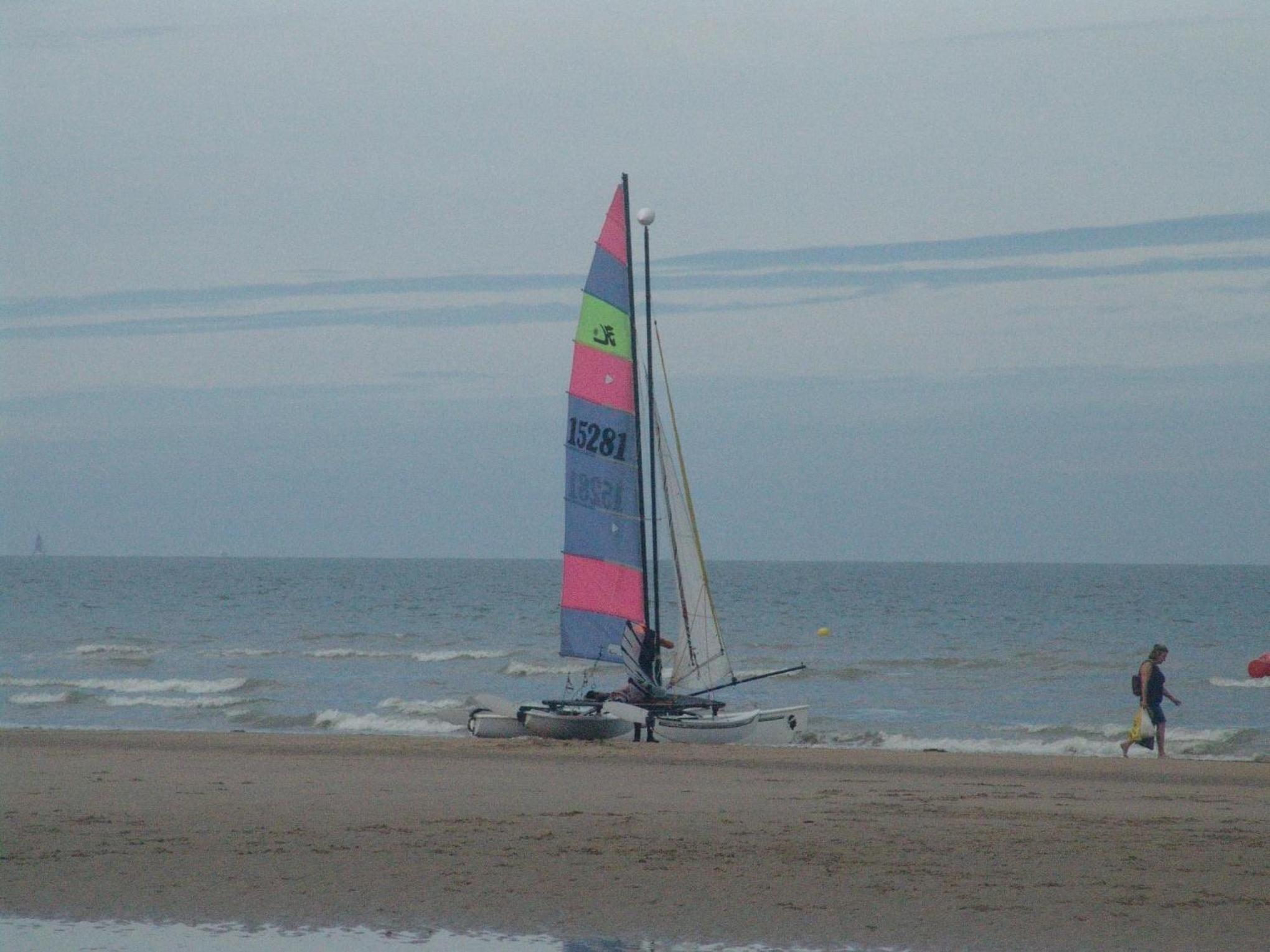Photo 43