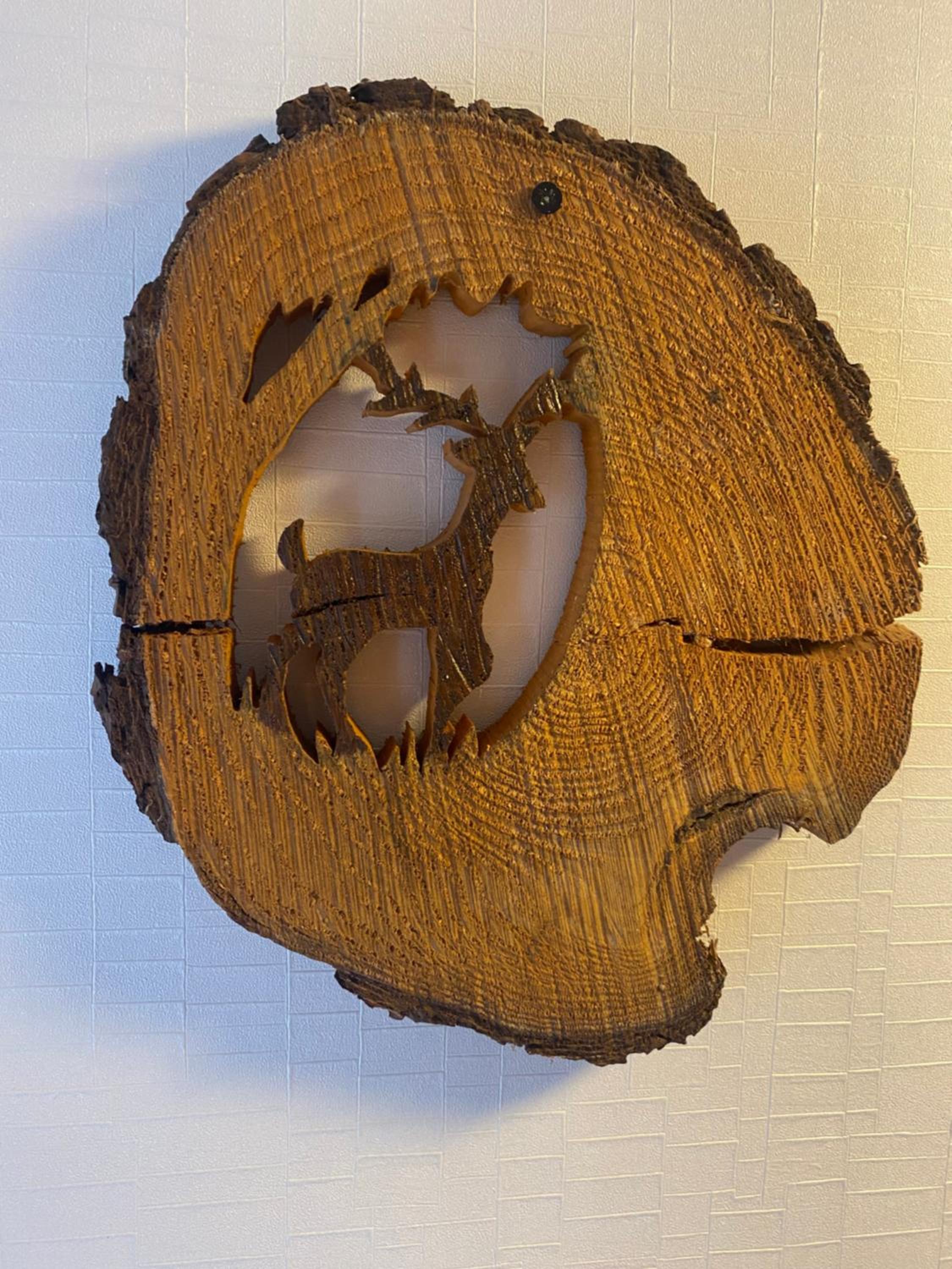 Sfeervol Boschalet 5 persoons met Sauna