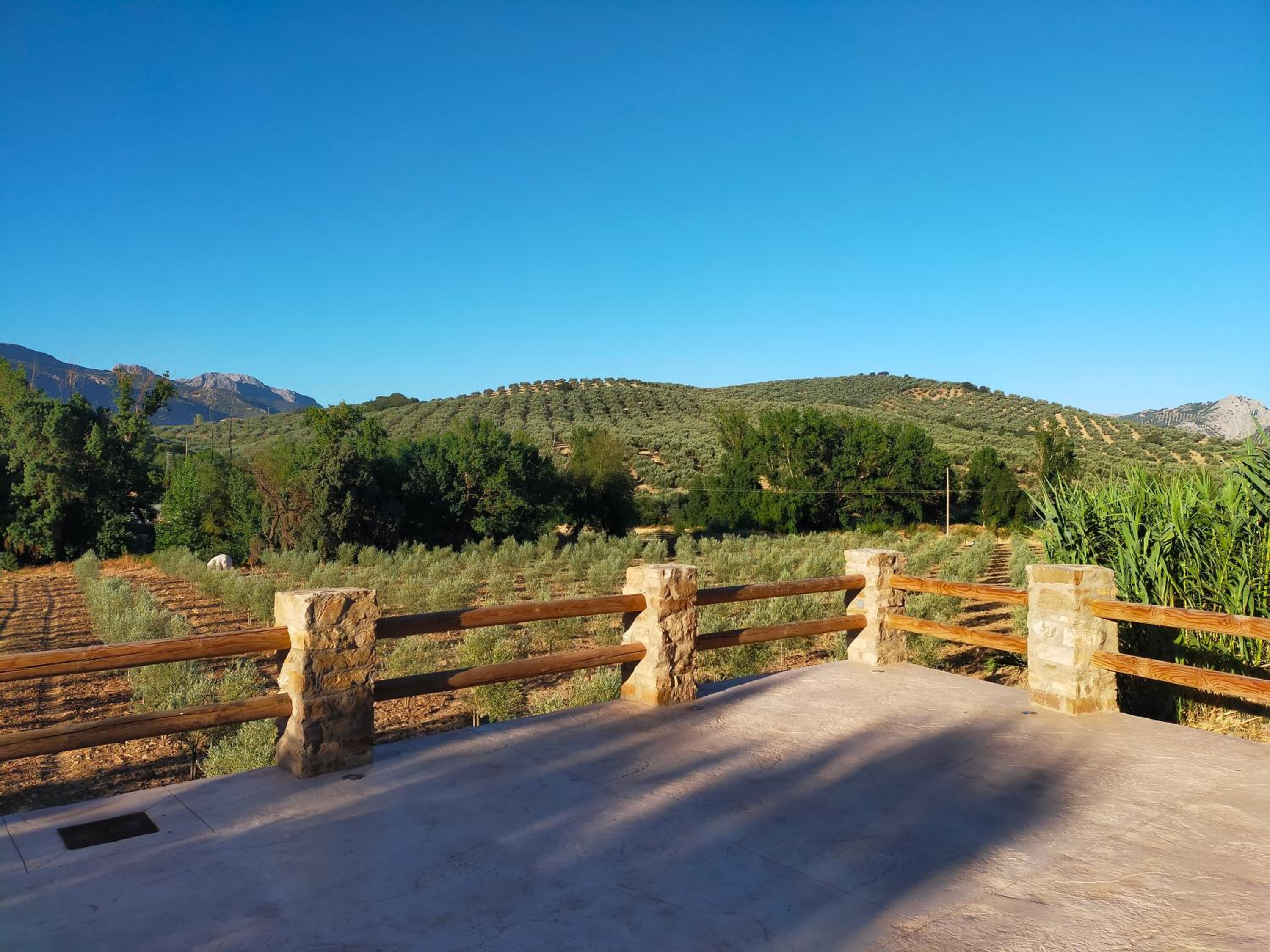 LA CASA DE LA HUERTA Stylish family cottage in Malaga countryside