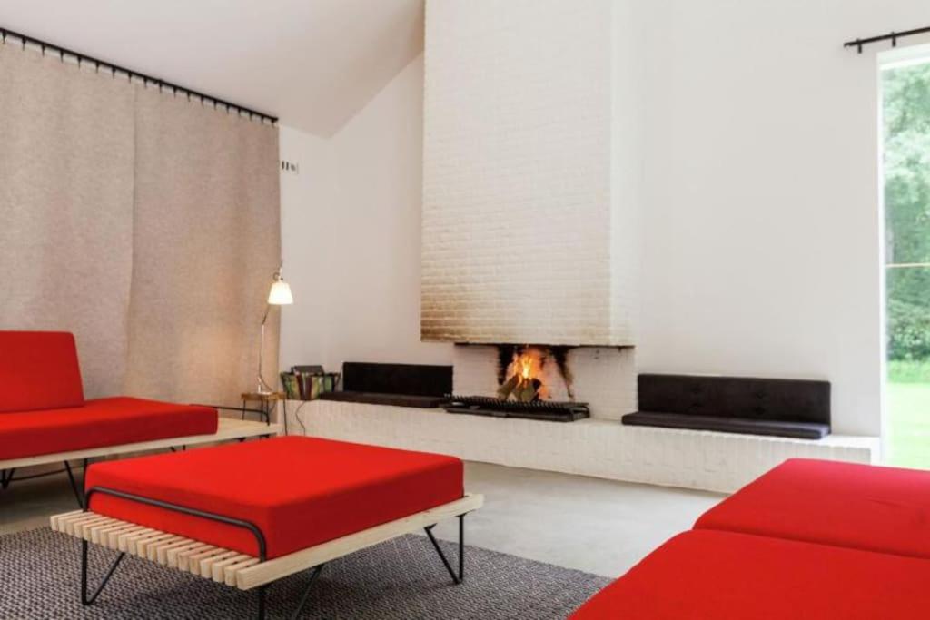 Coccinelle