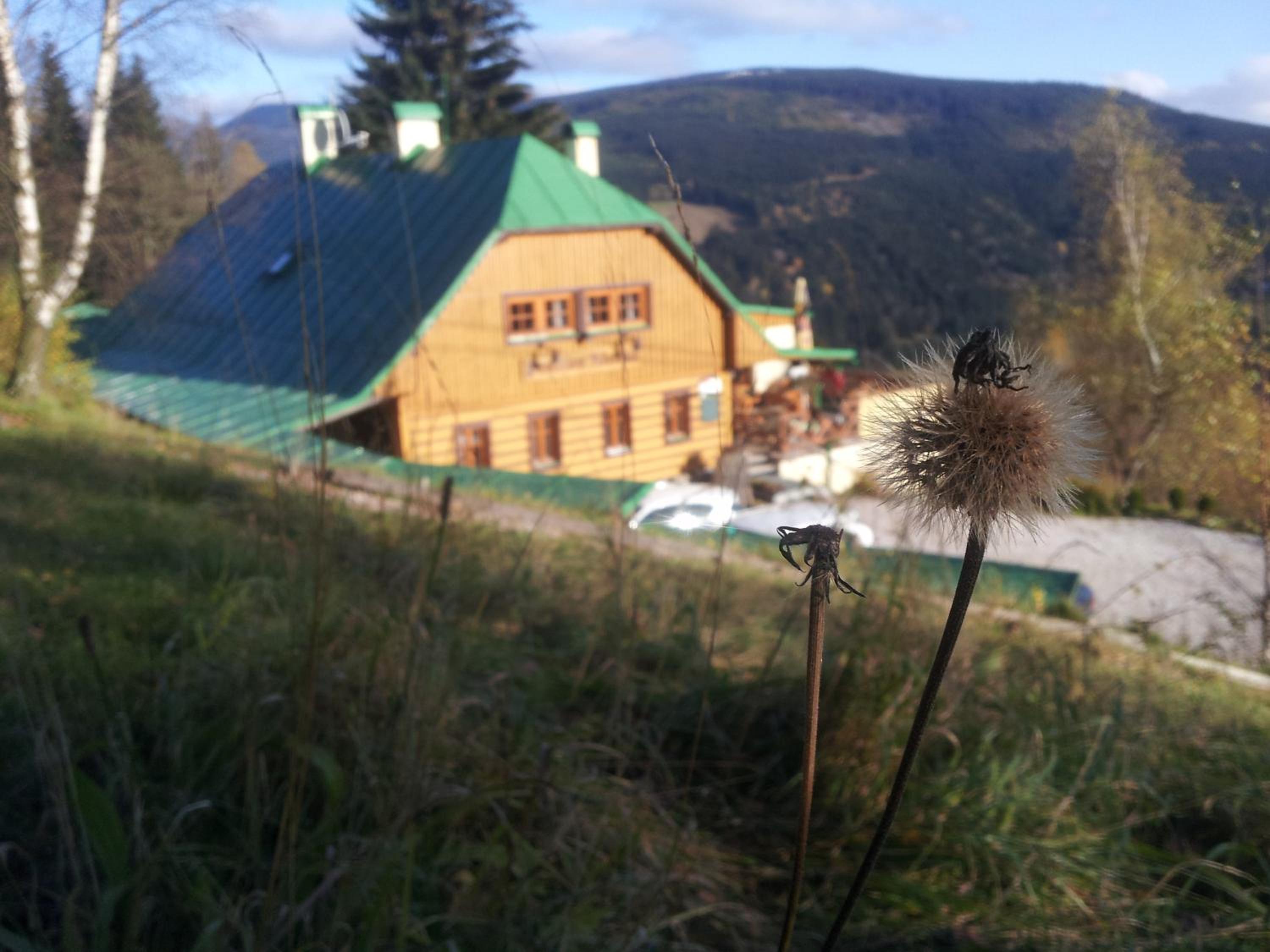 Penzion Alenka