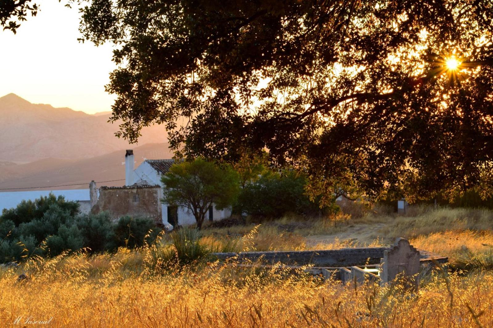 LA CASA DE LA HUERTA Stylish family cottage in Malaga countryside