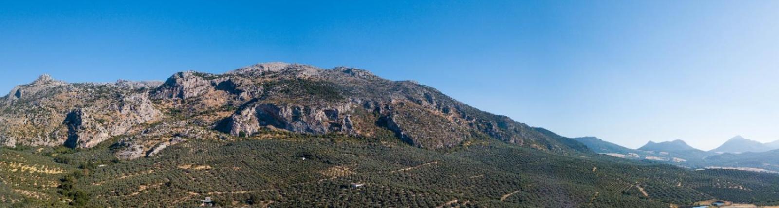 LA CASA DE LA HUERTA Stylish family cottage in Malaga countryside