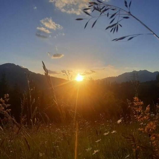 Ferienwohnung Götzner Auszeit
