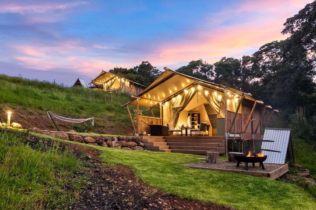 Cicada Luxury Camping