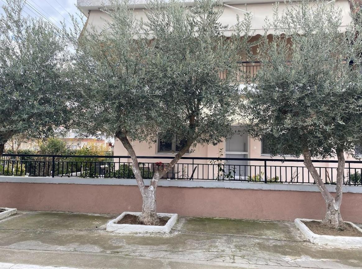 Olive Inn City