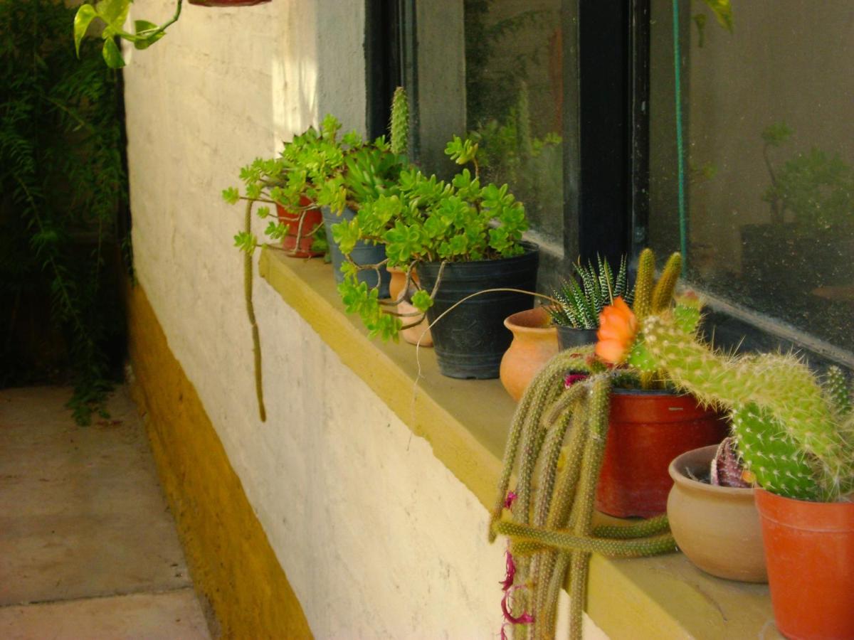 Pasos Andinos B&B