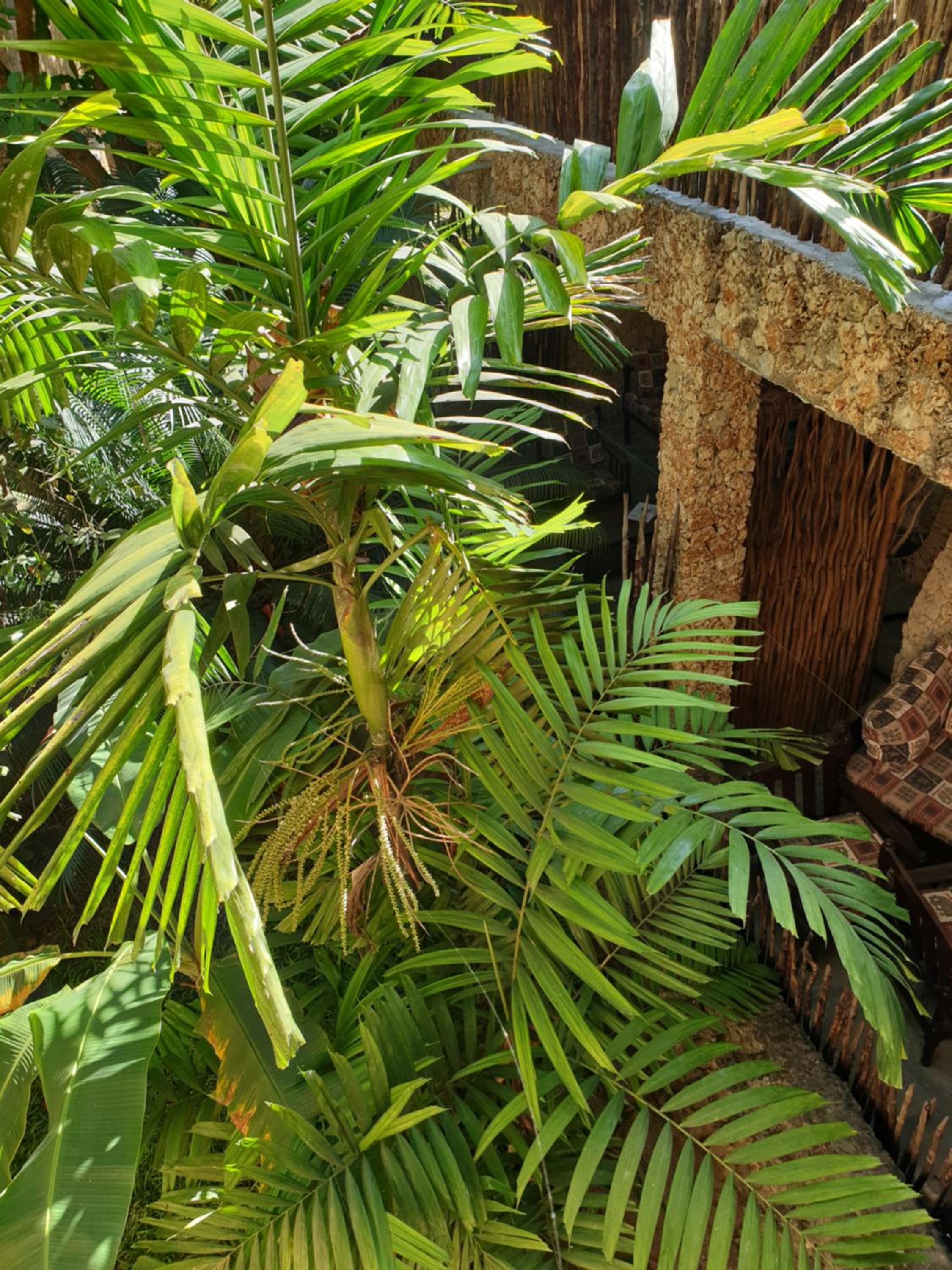 Marijani Holiday Resort view 3