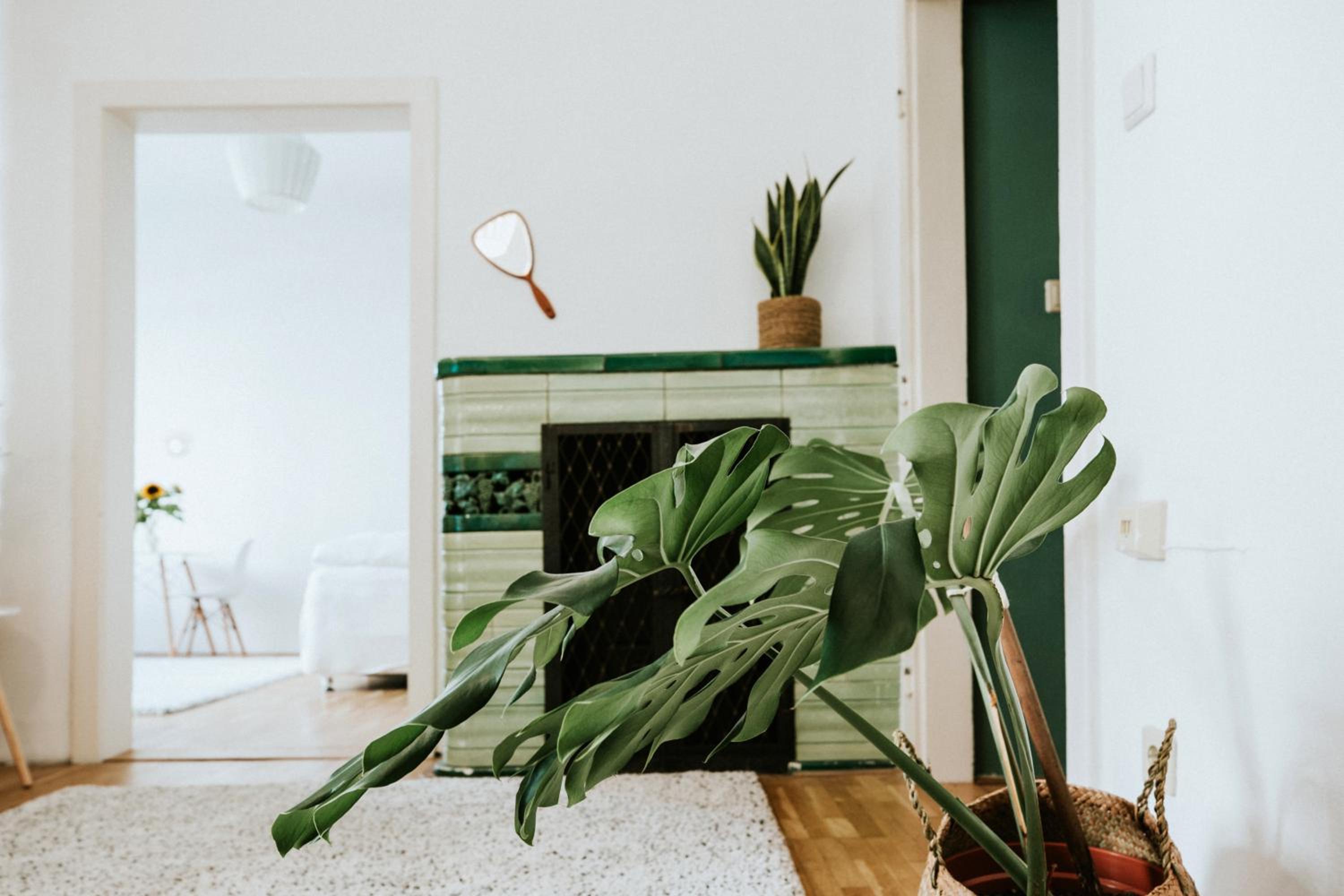 Cozy City Apartment