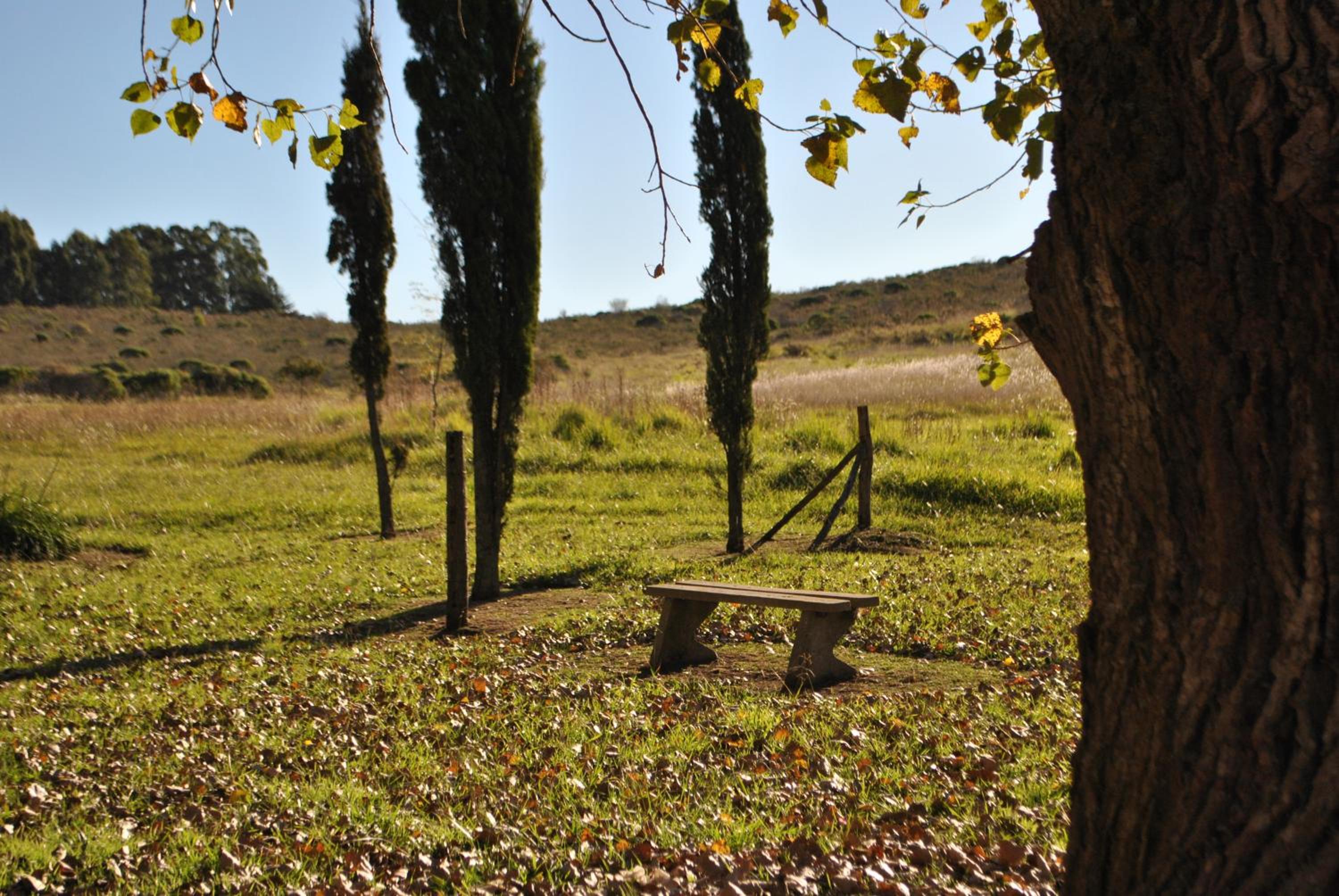 Cabañas Las Dinas
