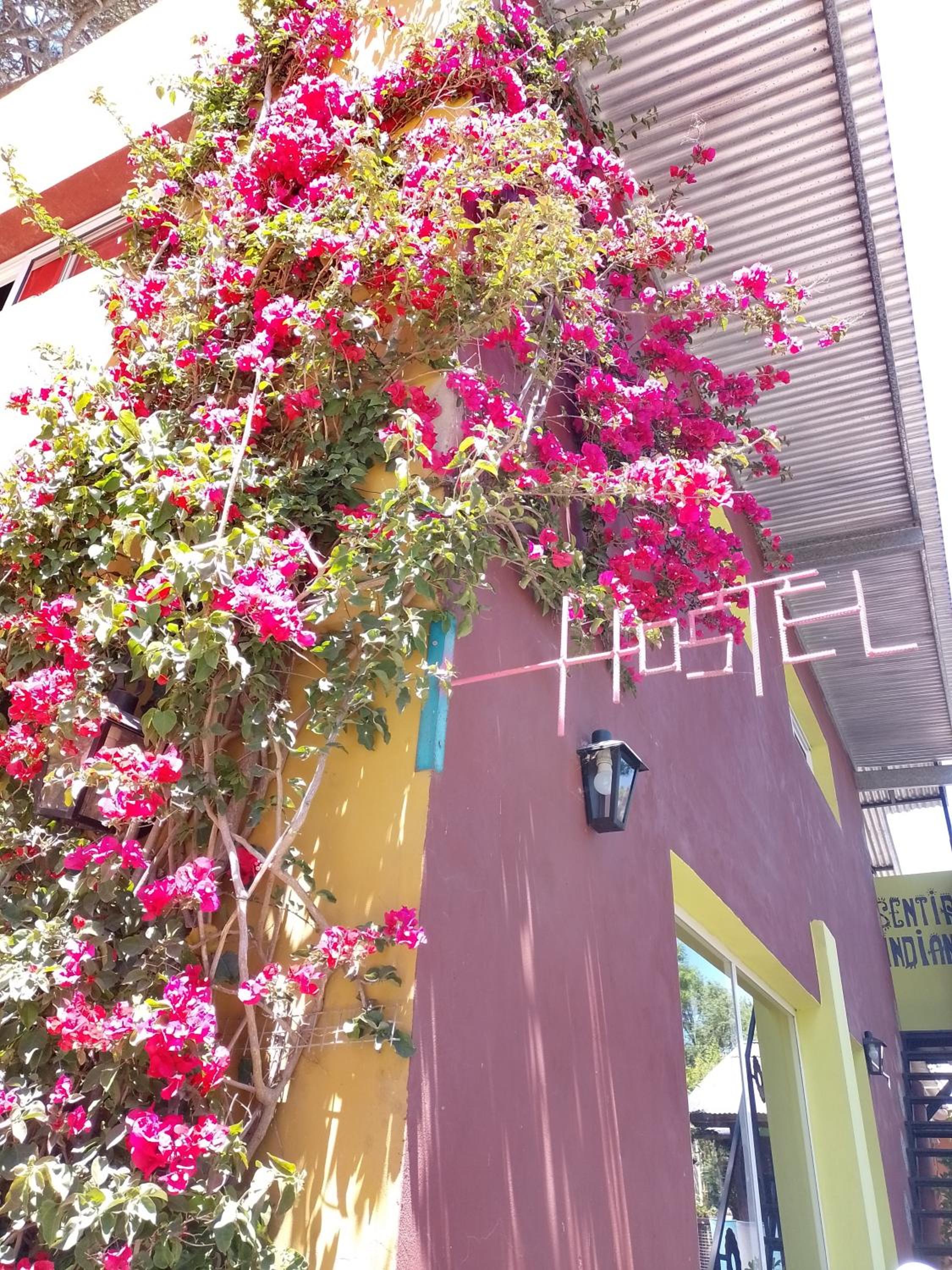 Hostel Sentir Indiano
