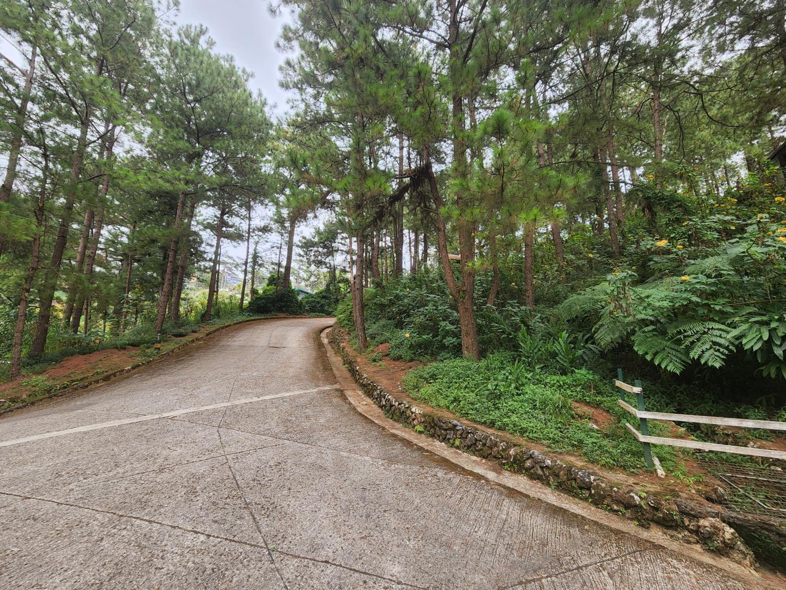 Baguio Hillside Haven
