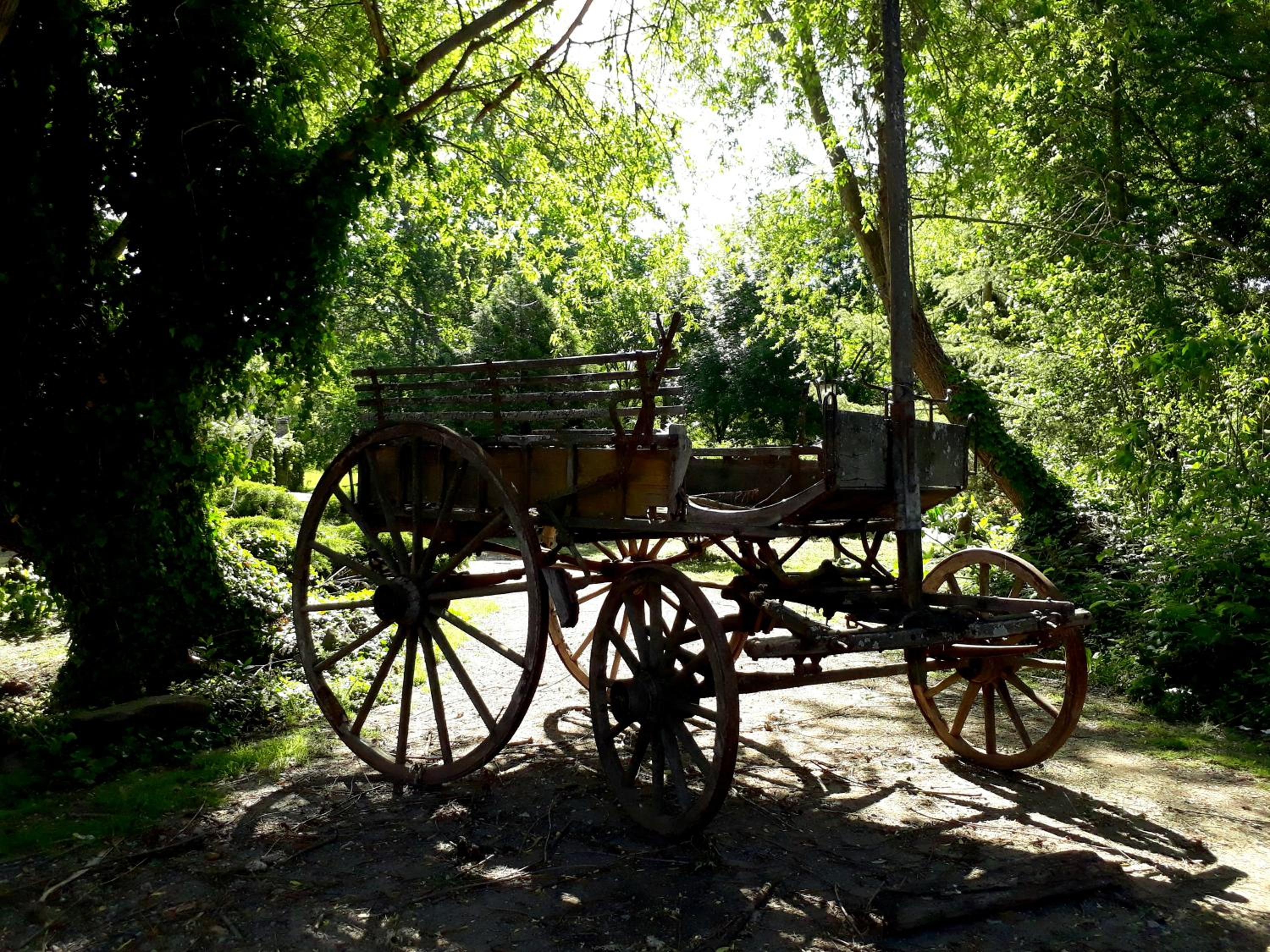 Cabañas Las Dinas