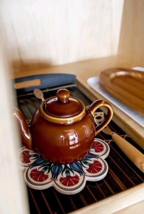 Periwinkle at Great Bay