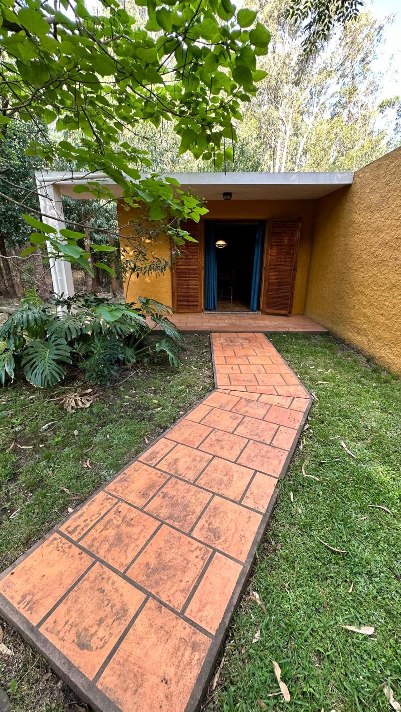 Photo 27