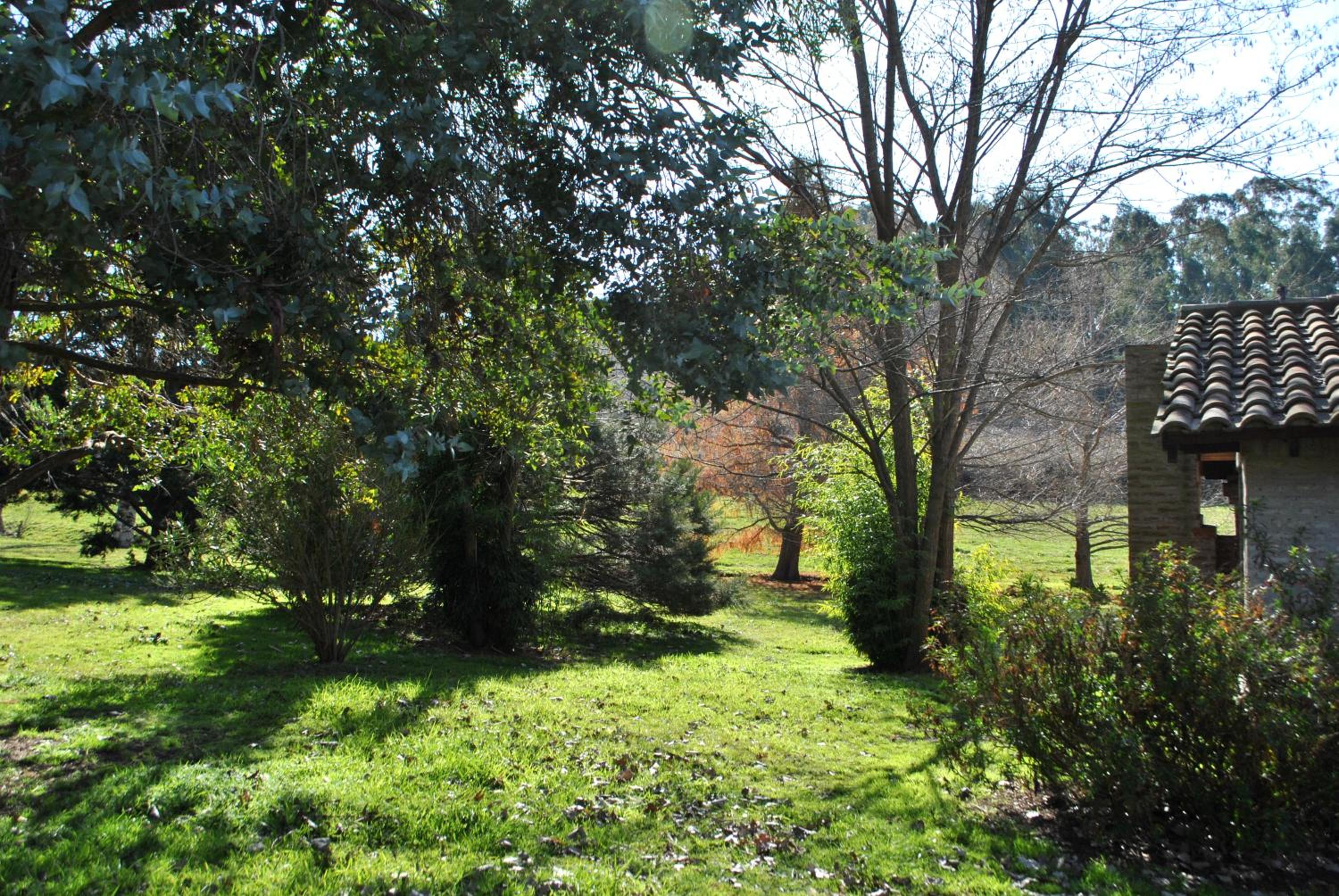 Cabañas Las Dinas