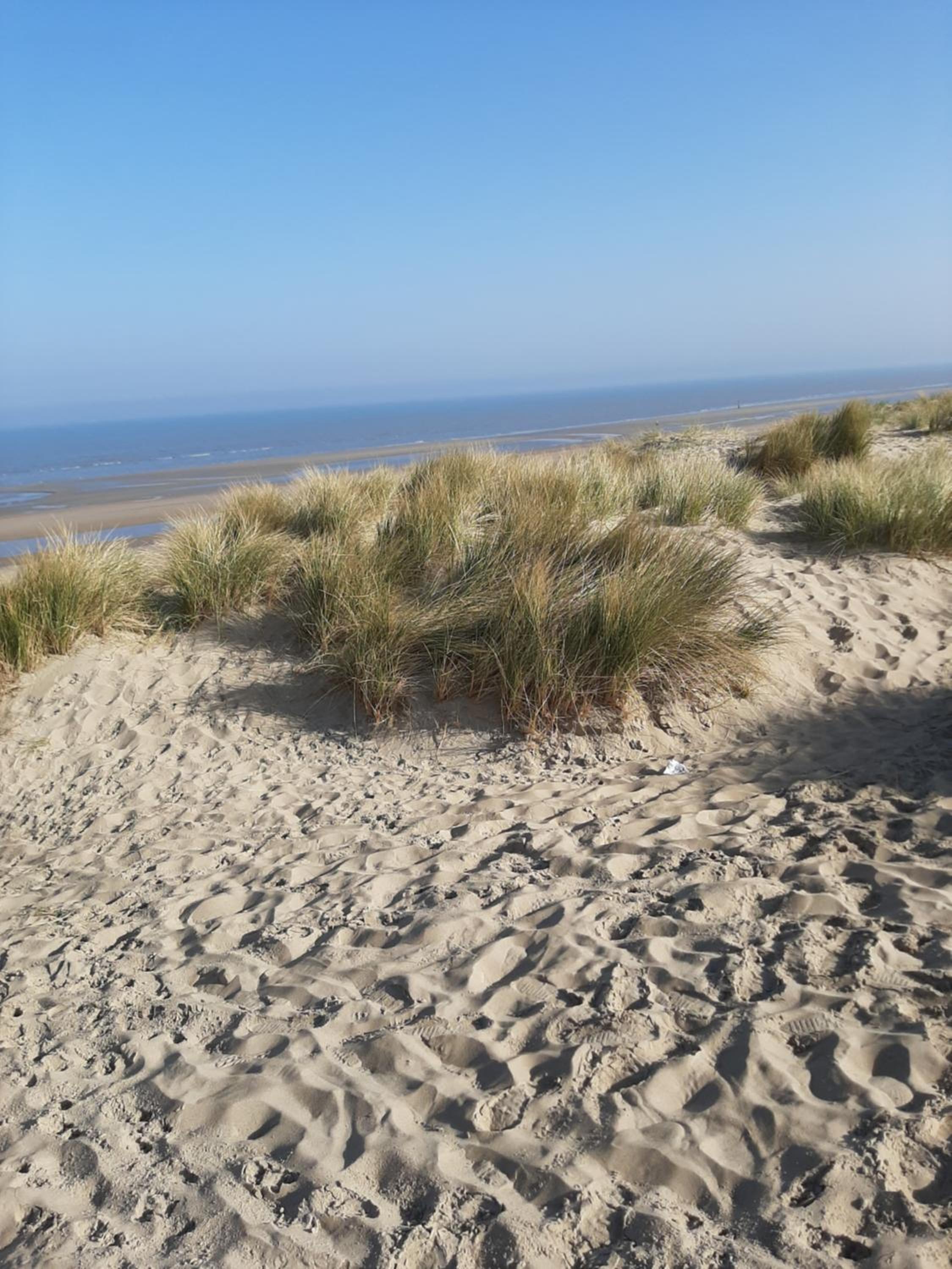 Blekkerke