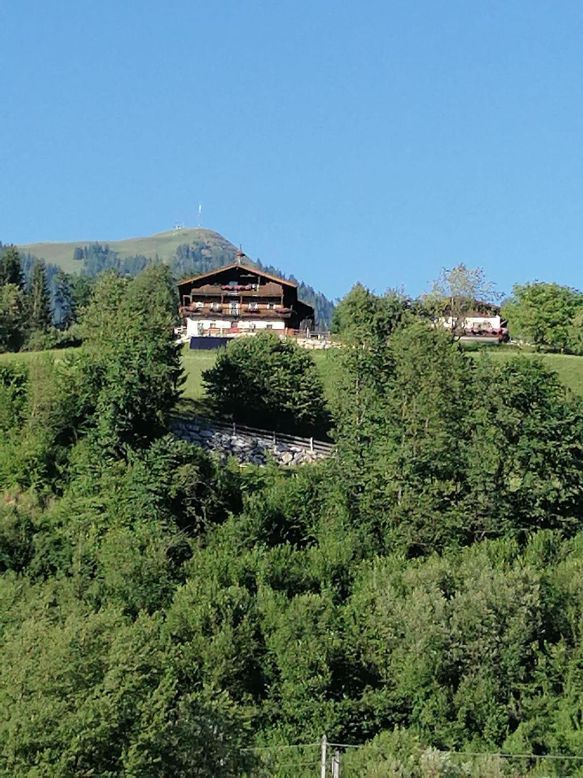 Apartment-Chalet Mödlinghof