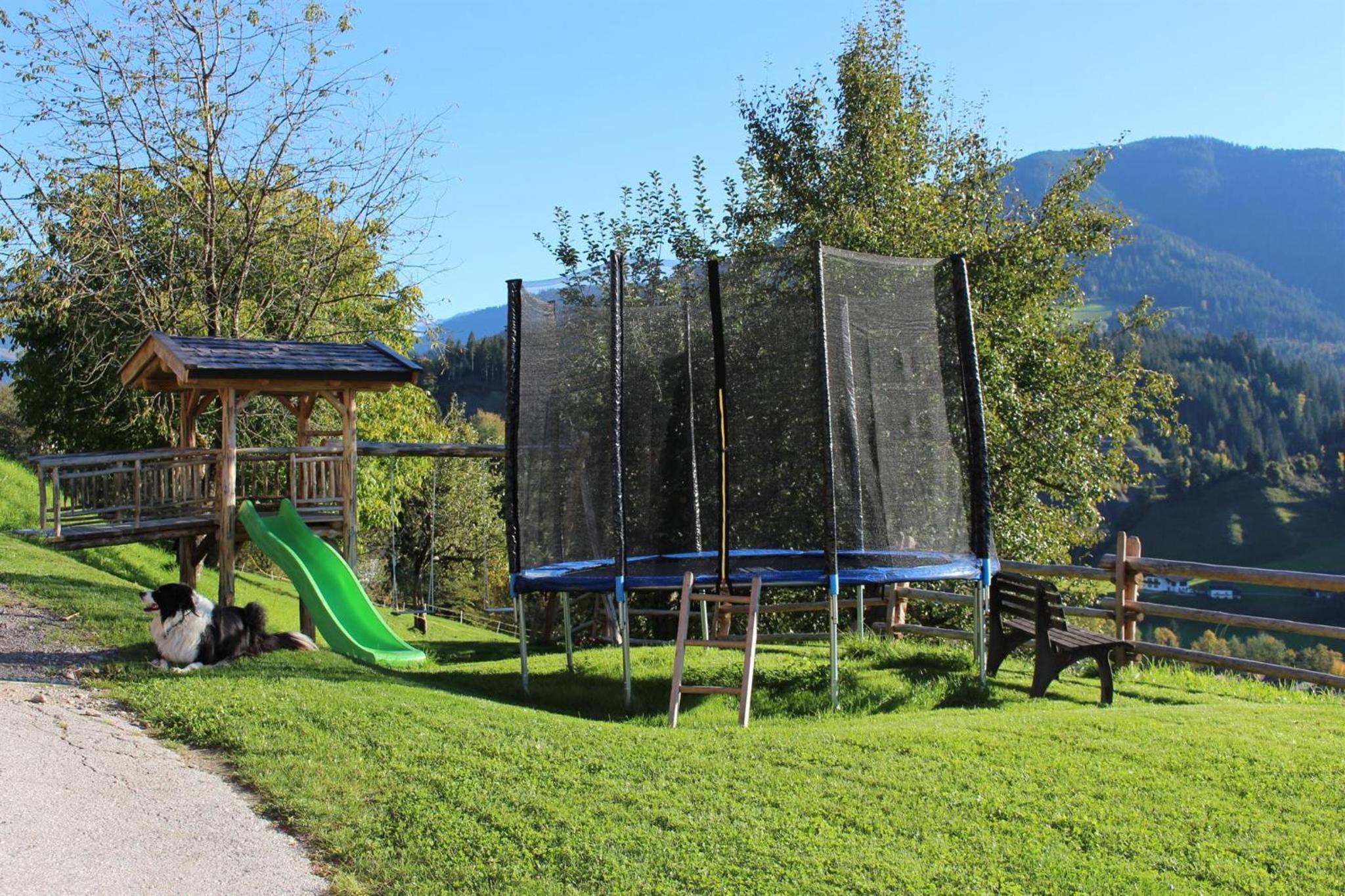 Apartment-Chalet Mödlinghof