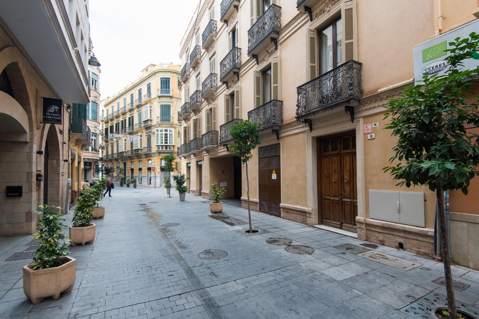 MÁLAGA ROYAL ART MUSEUM APARTMENT