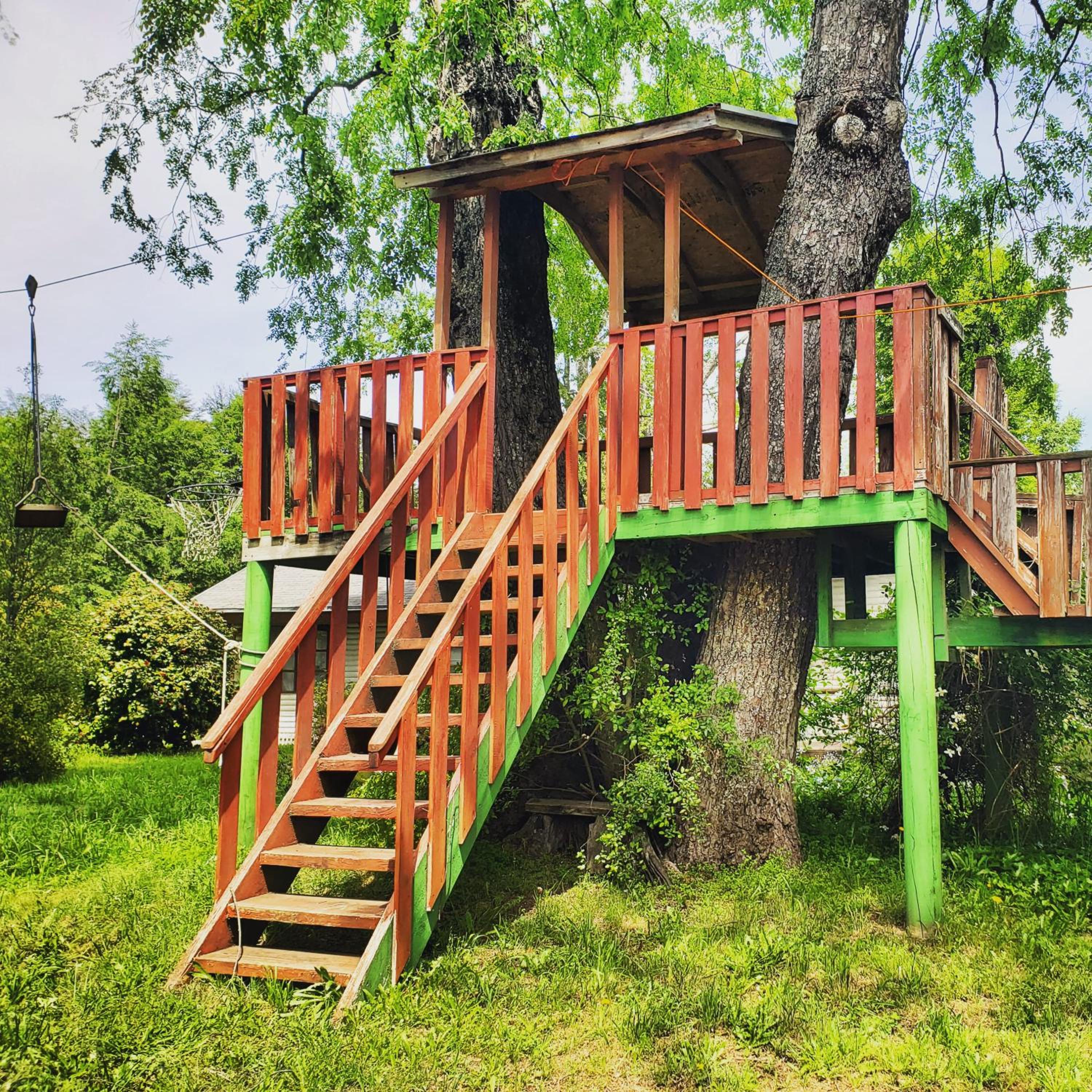 La Casa del Árbol Villarrica Cabañas-Piscina-Tinajas