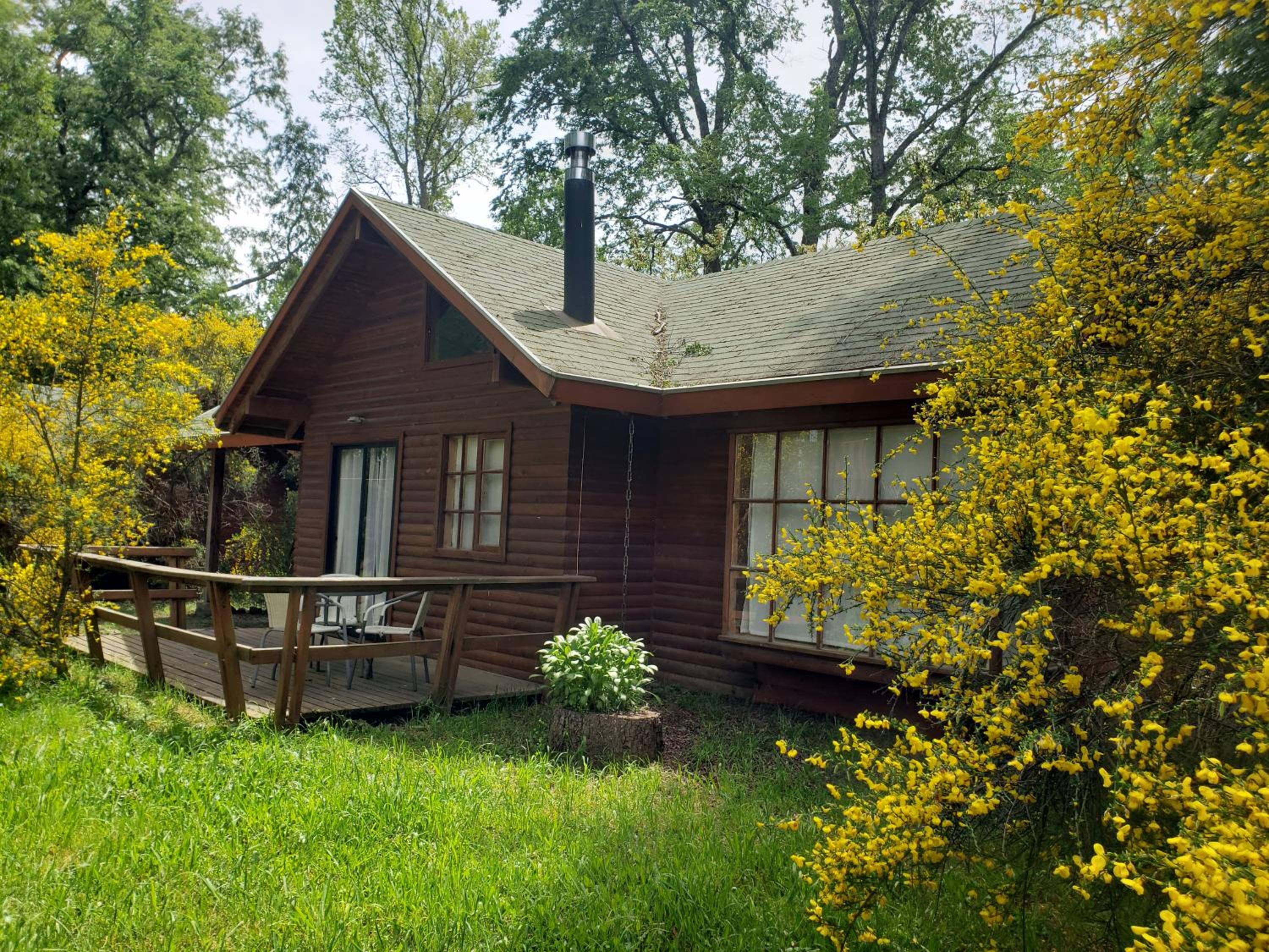 La Casa del Árbol Villarrica Cabañas-Piscina-Tinajas